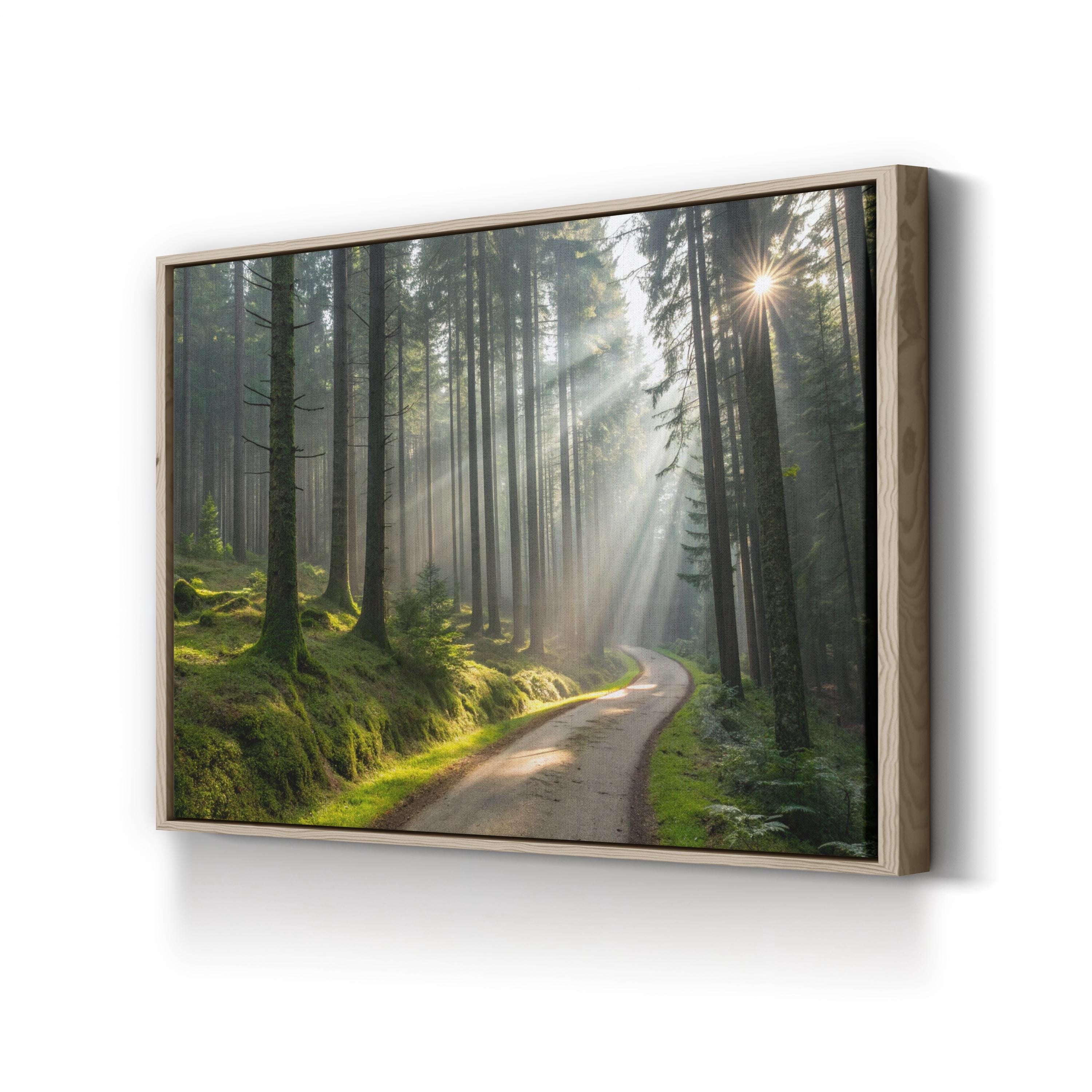 Forest Sunlight Path – Vintage Photography Wall Art | Woodland Landscape Canvas Print