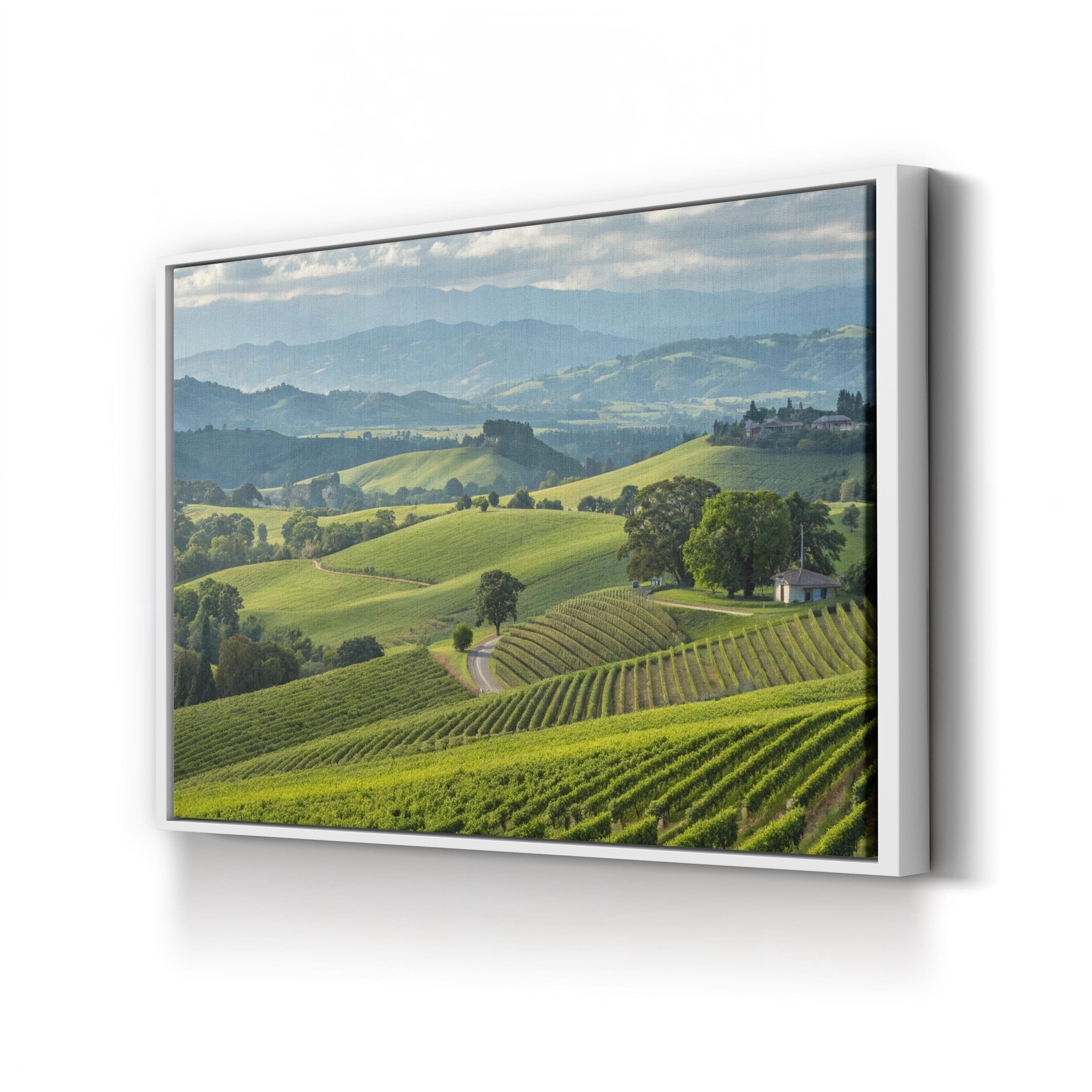 Sonoma Vineyard Hills – Vintage Photography Wall Art | Wine Country Canvas Print