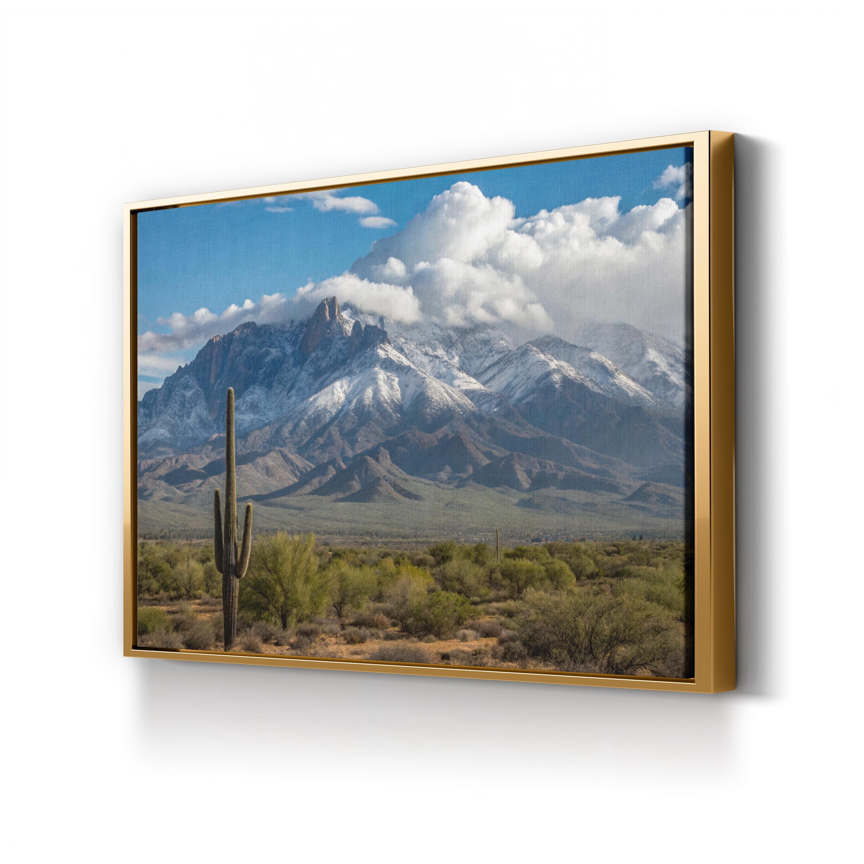 Saguaro Cactus Desert Plain – Vintage Photography Wall Art | Southwestern Canvas Print