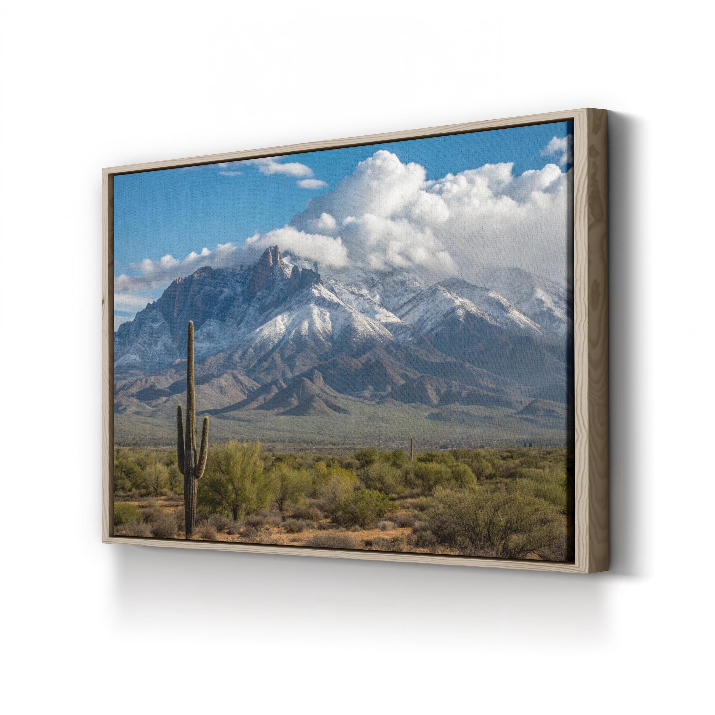 Saguaro Cactus Desert Plain – Vintage Photography Wall Art | Southwestern Canvas Print