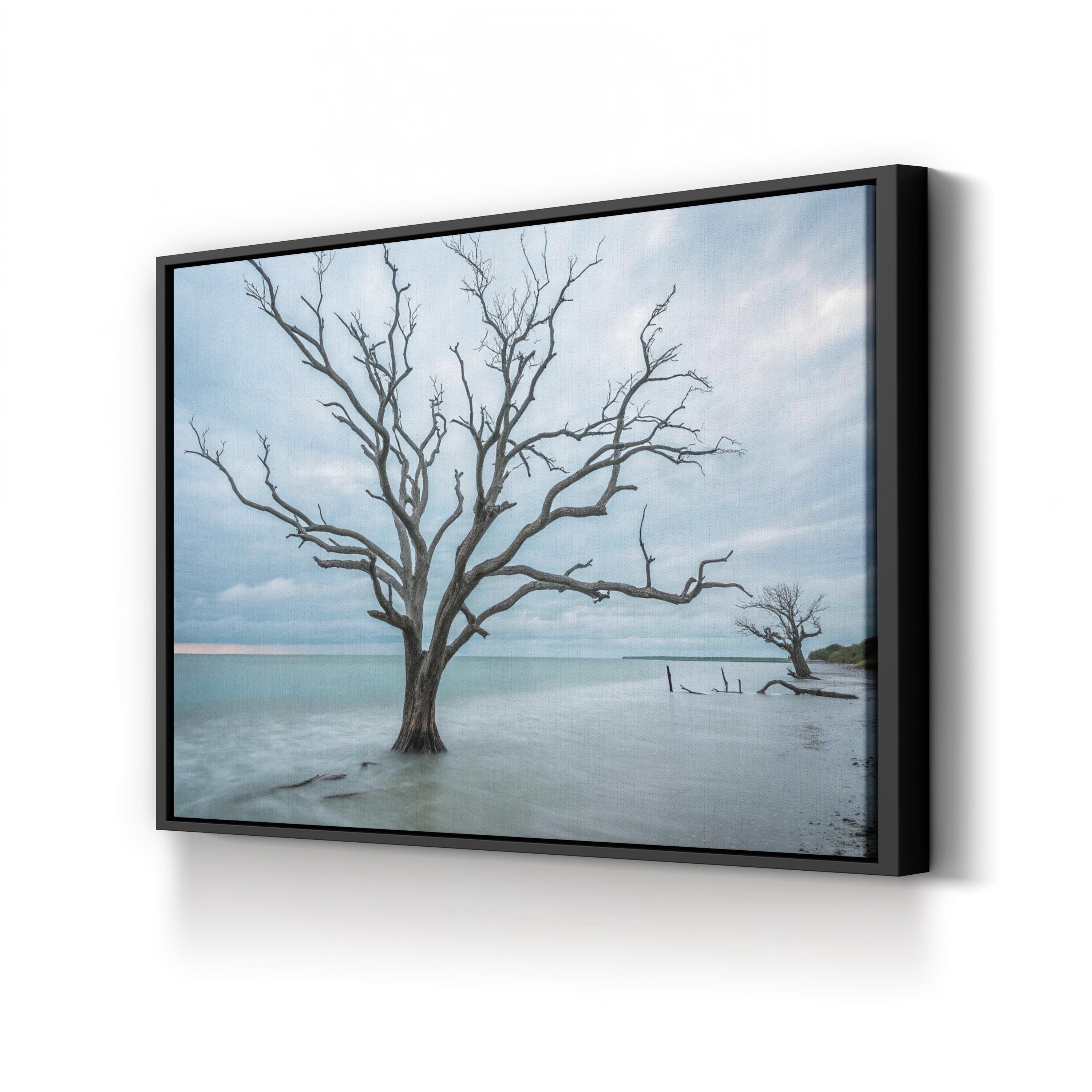 Botany Bay Coastal Sunset — Tranquil Shoreline Canvas Wall Art