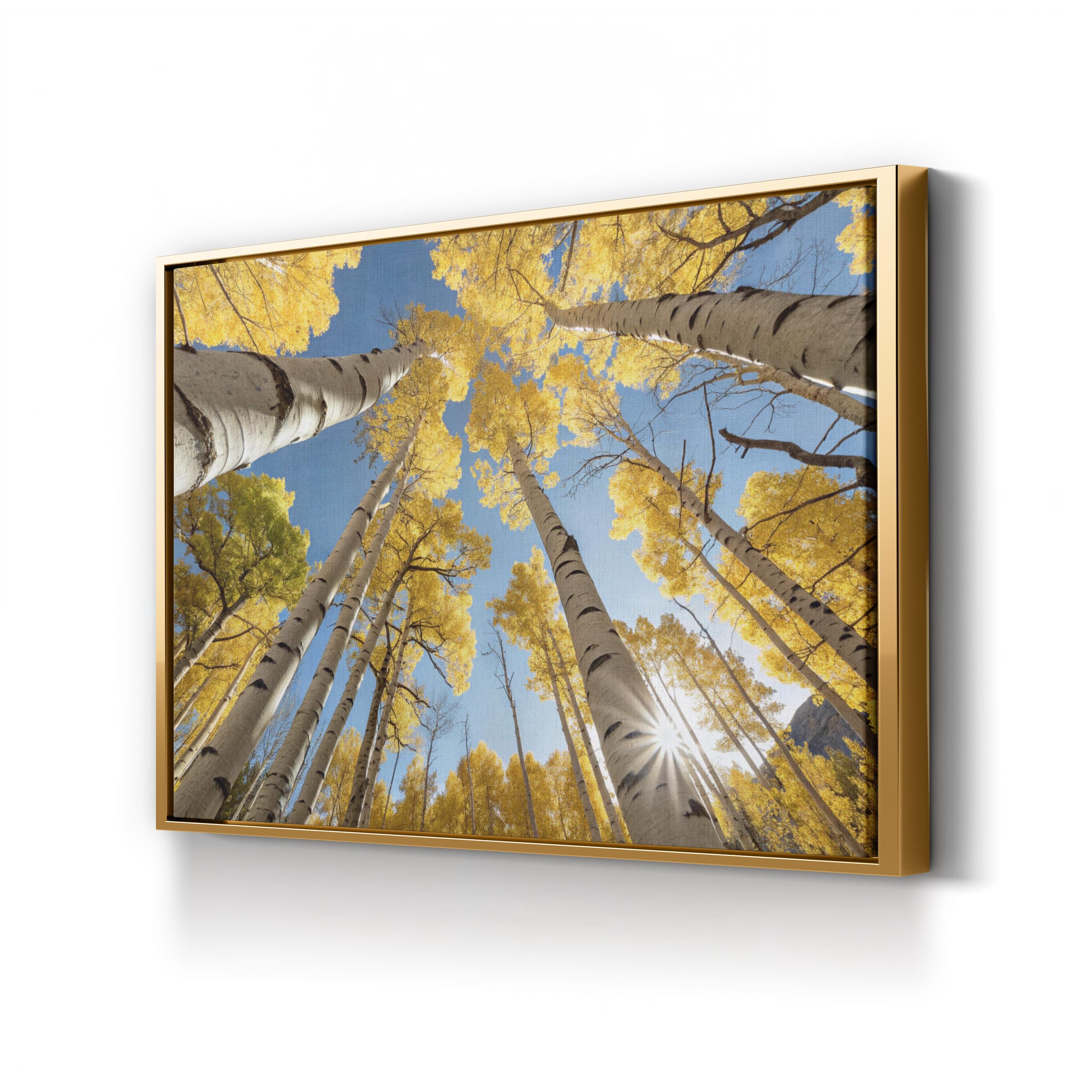 San Juan Aspens Fall – Vintage Photography Wall Art | Autumn Forest Canvas Print