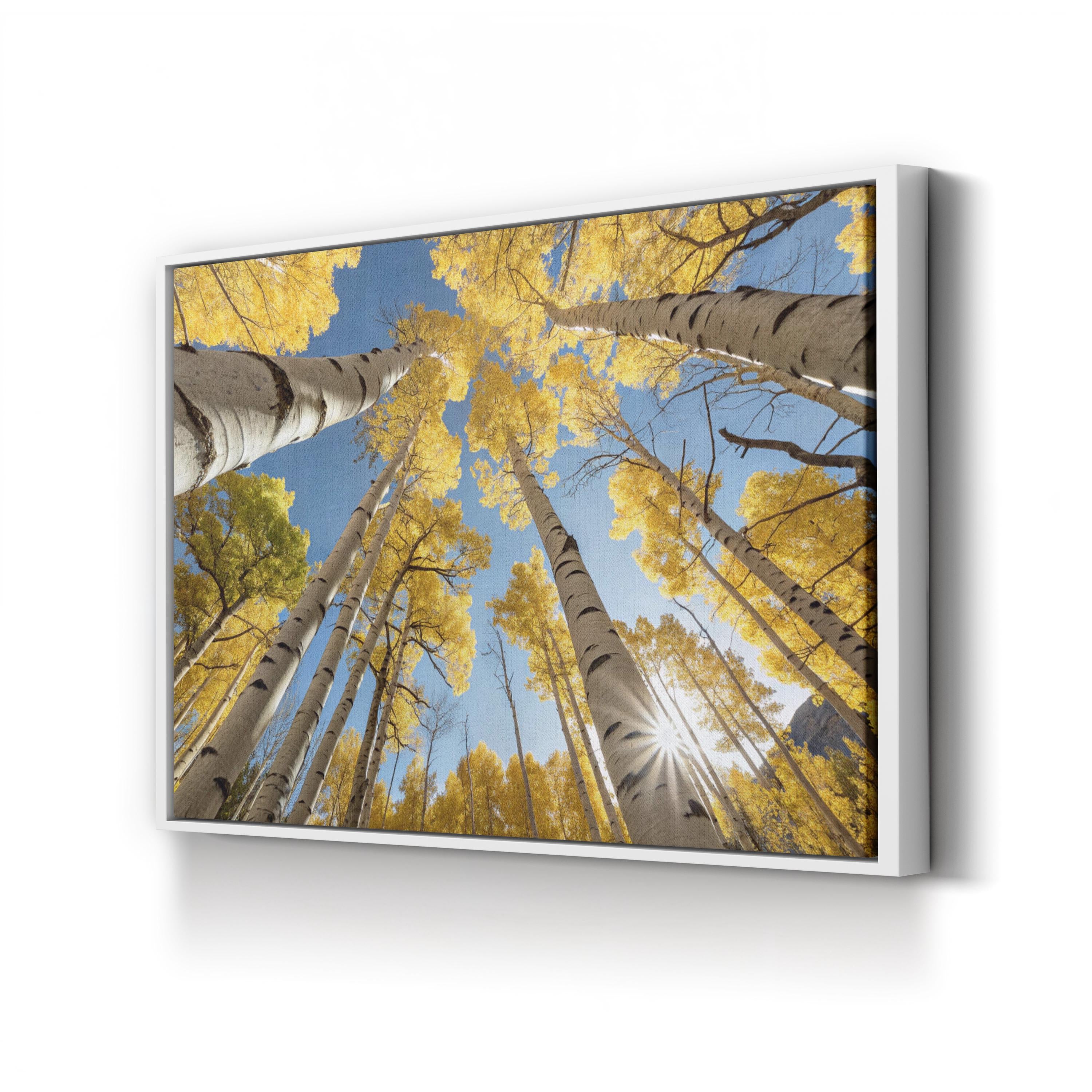 San Juan Aspens Fall – Vintage Photography Wall Art | Autumn Forest Canvas Print