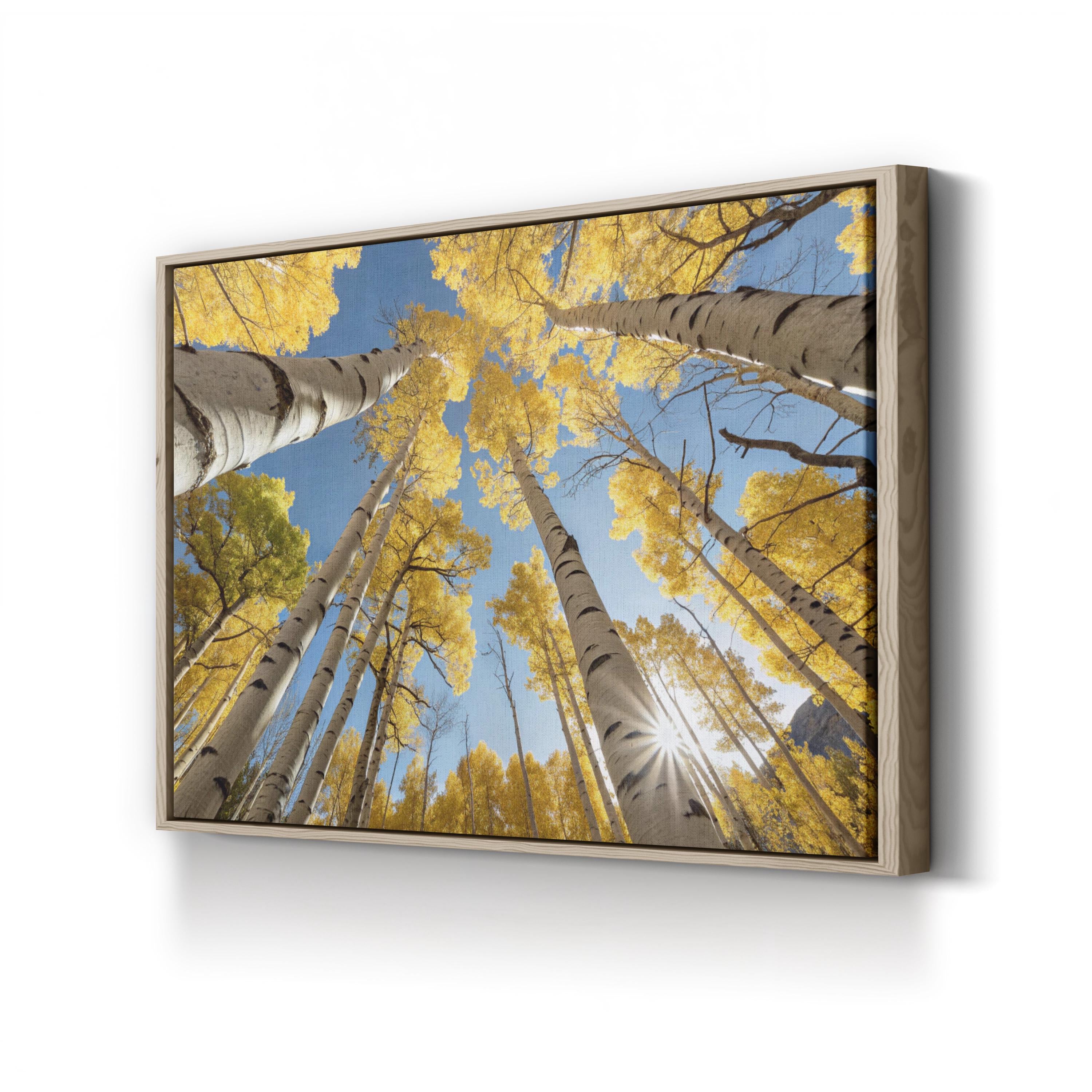 San Juan Aspens Fall – Vintage Photography Wall Art | Autumn Forest Canvas Print