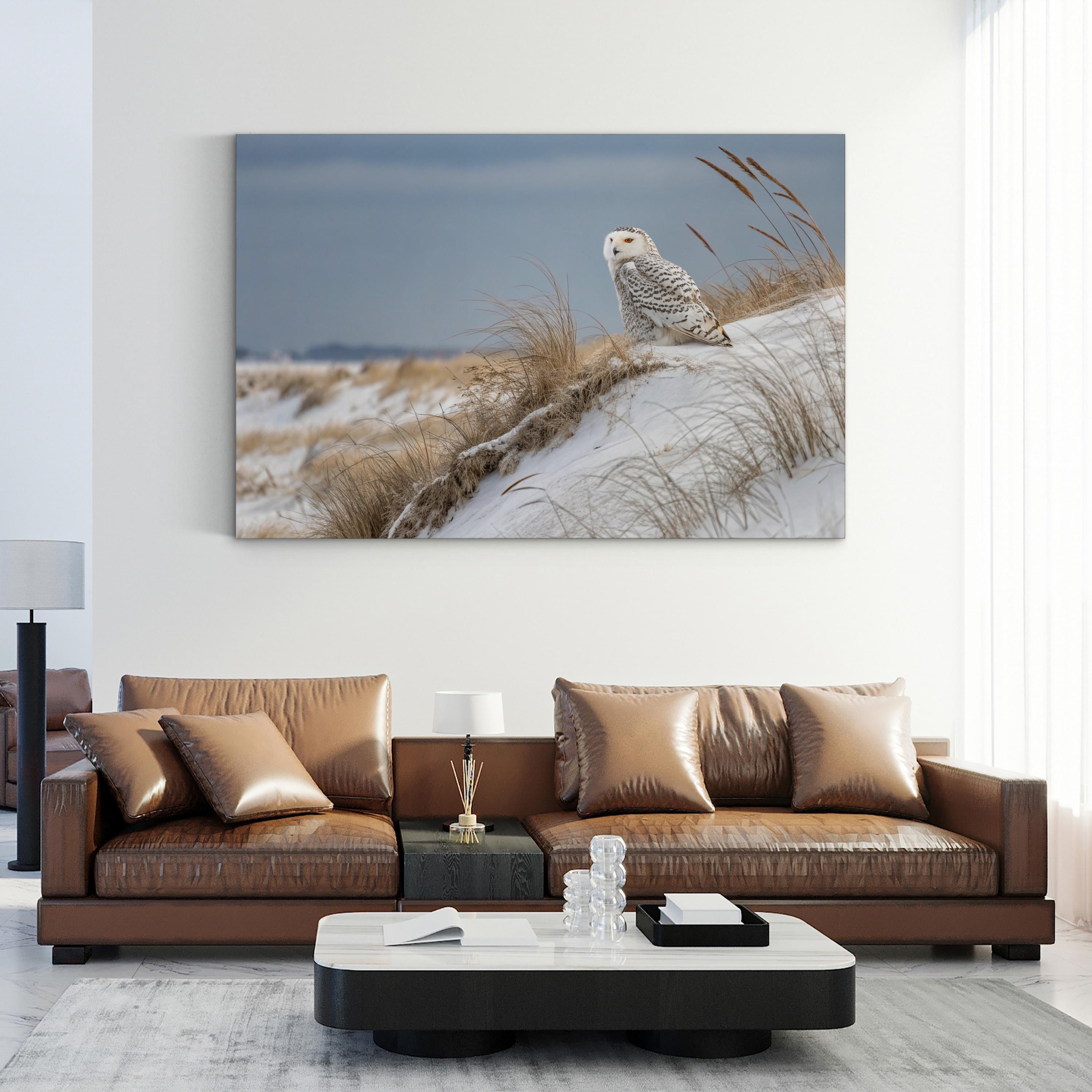 Snowy Owl Canvas – Framed Winter Wildlife Wall Art