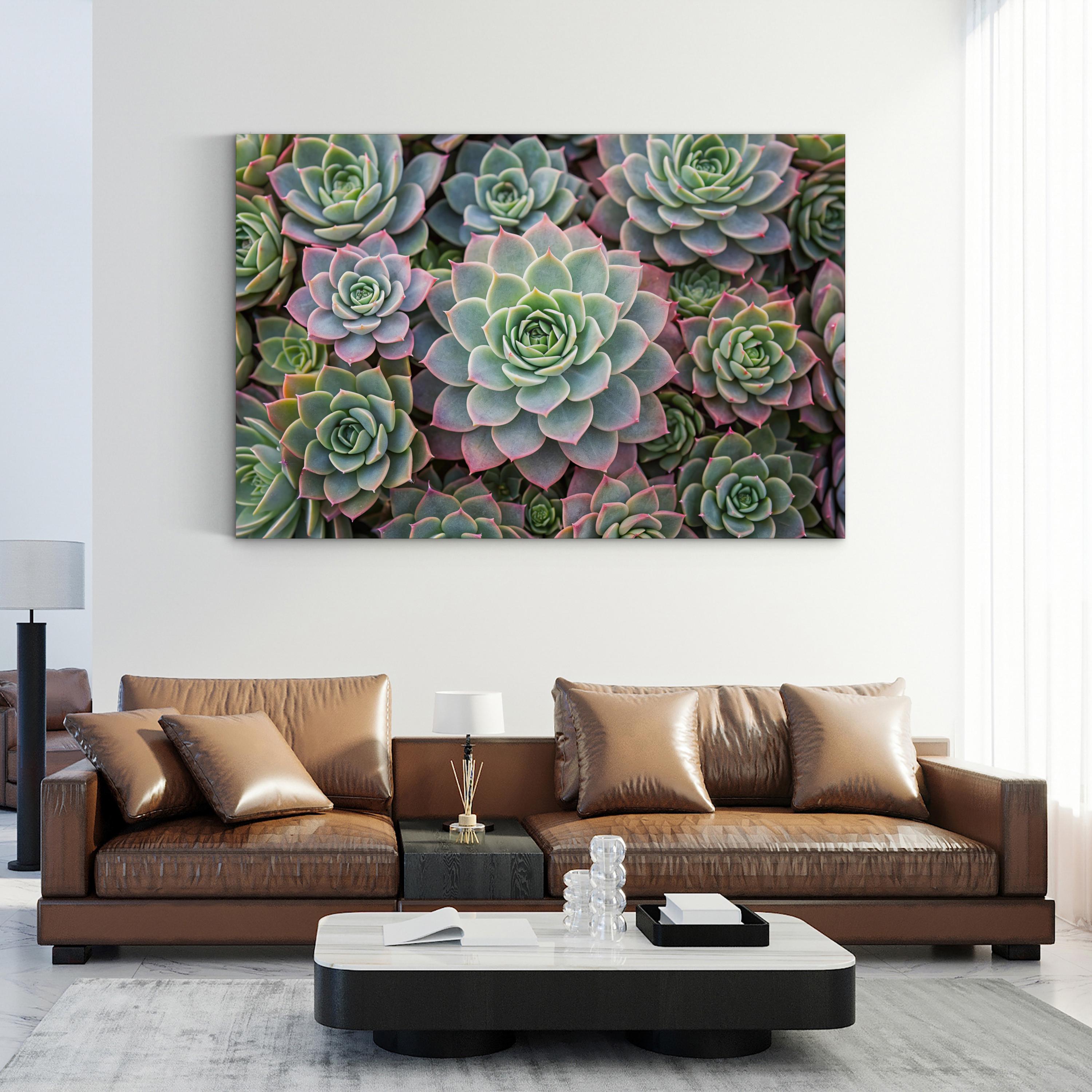 Succulent Garden – Vintage Photography Wall Art | Soft Green Botanical Canvas Print
