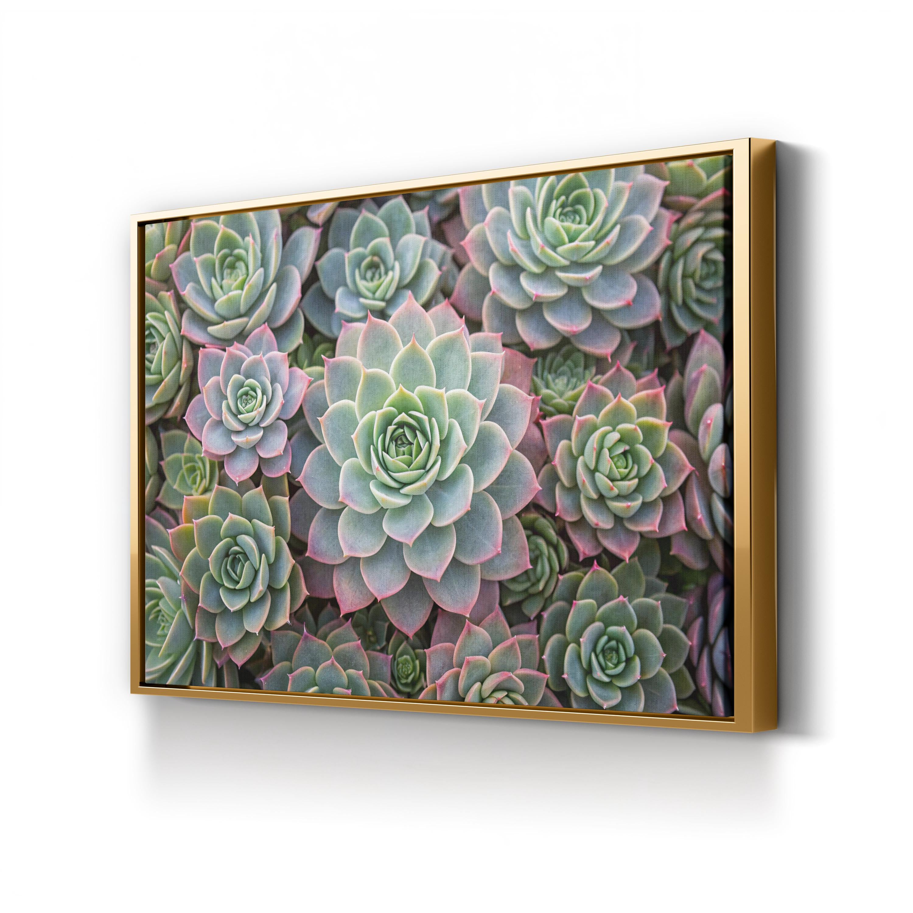 Succulent Garden – Vintage Photography Wall Art | Soft Green Botanical Canvas Print