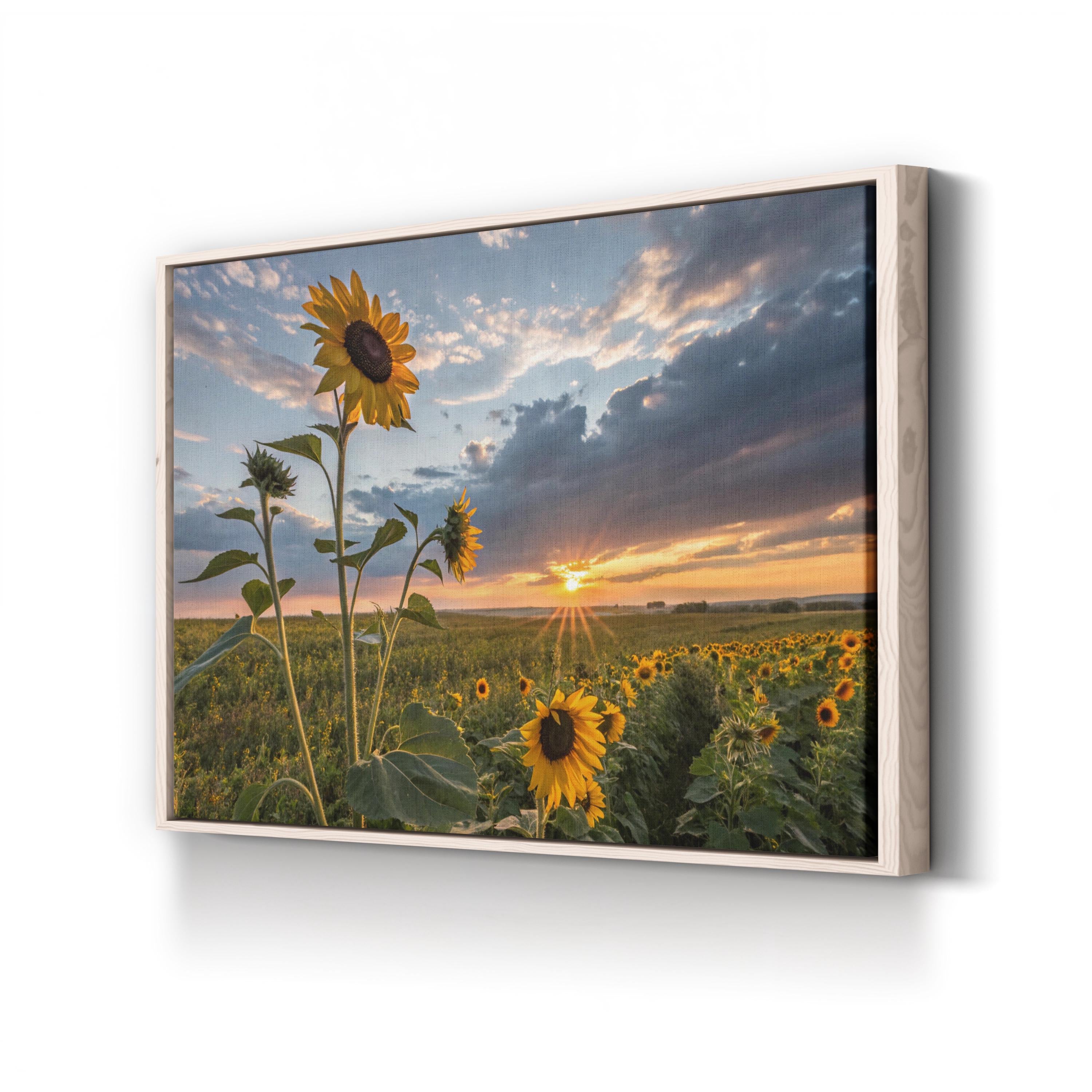 Sunflower Sunset – Vintage Photography Wall Art | Golden Hour Landscape Canvas Print