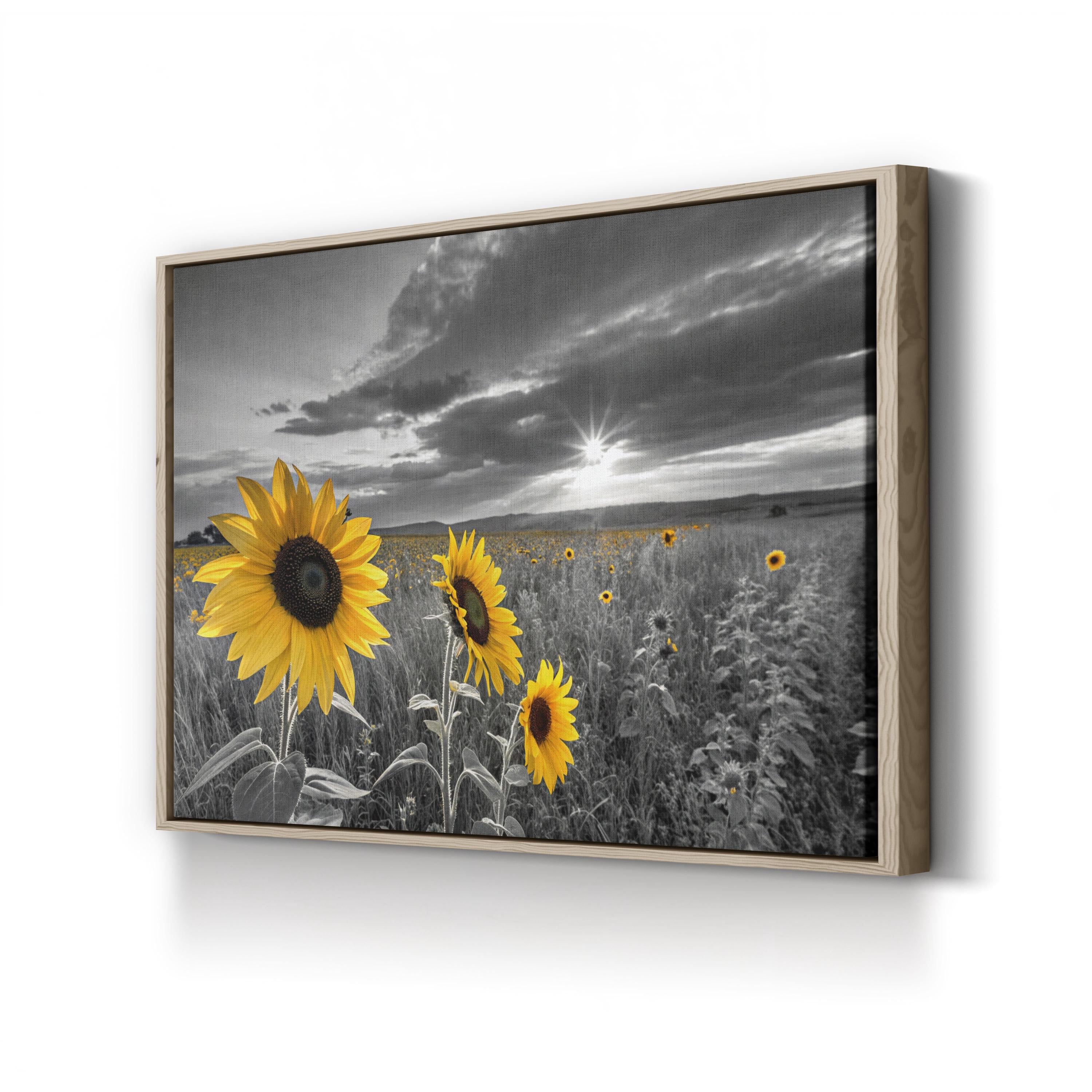 Sunflower Color Pop – Period Illustration Wall Art | Dramatic Sky Canvas Print
