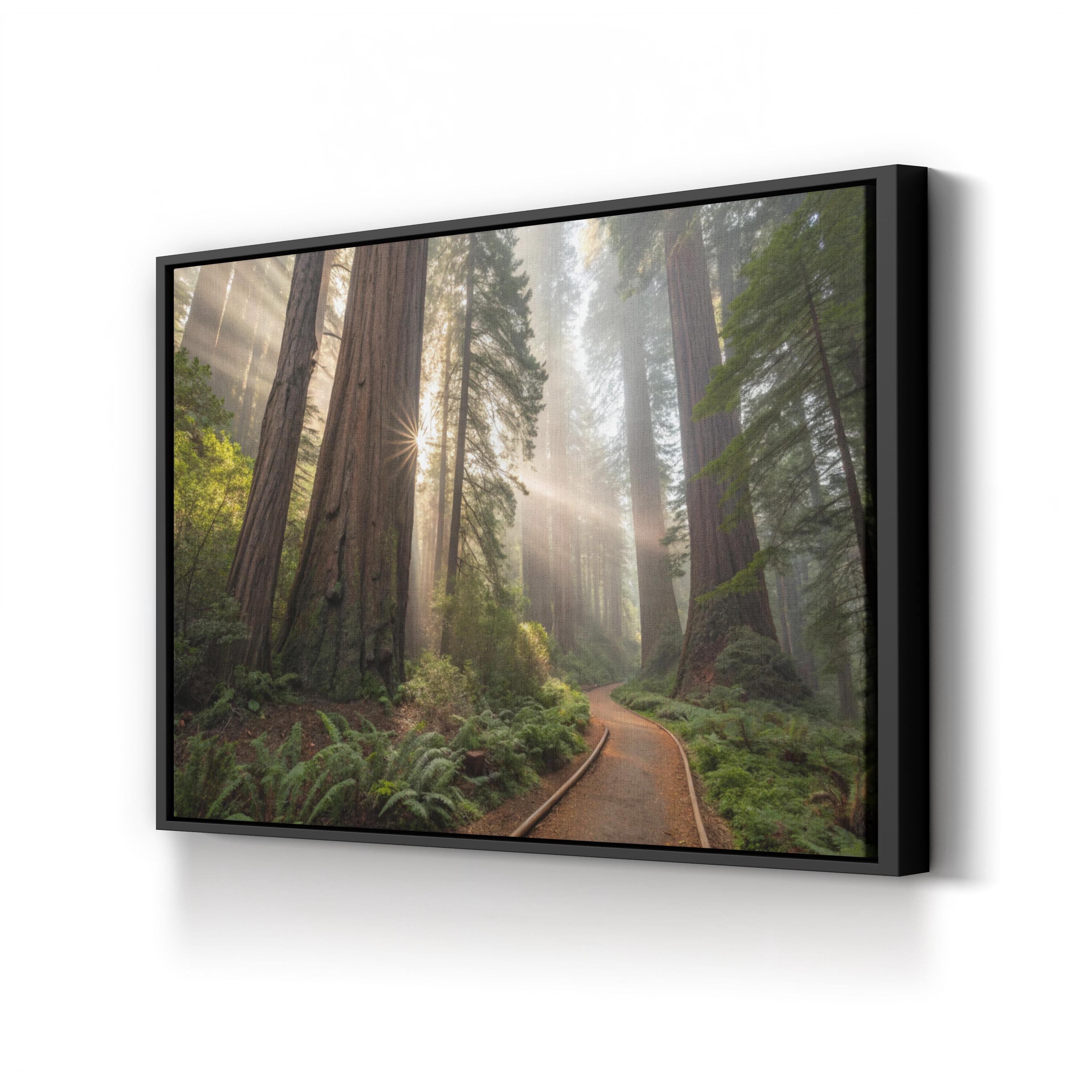 Redwood Forest Sunrise – Vintage Photography Wall Art | Nature Landscape Canvas Print