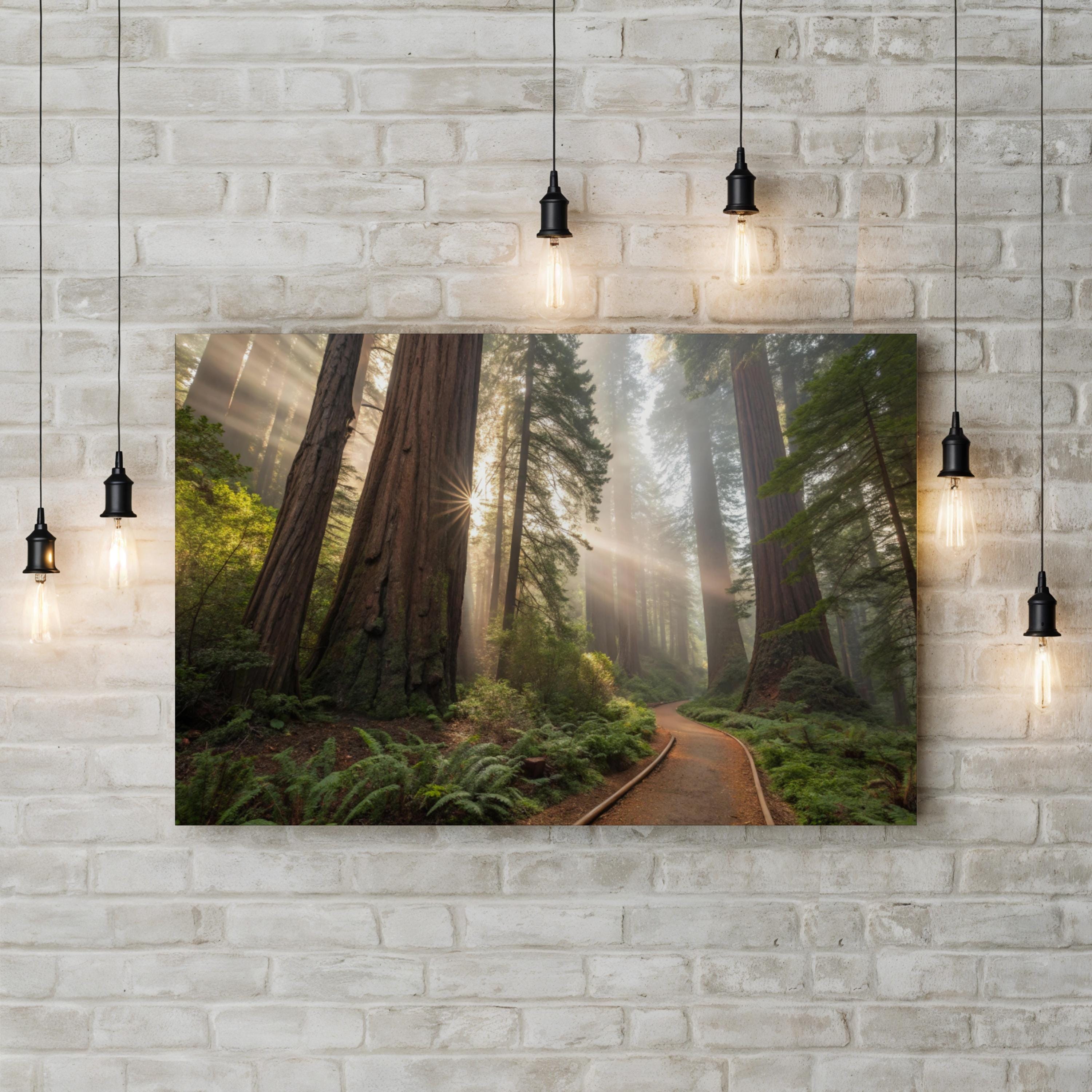 Redwood Forest Sunrise – Vintage Photography Wall Art | Nature Landscape Canvas Print