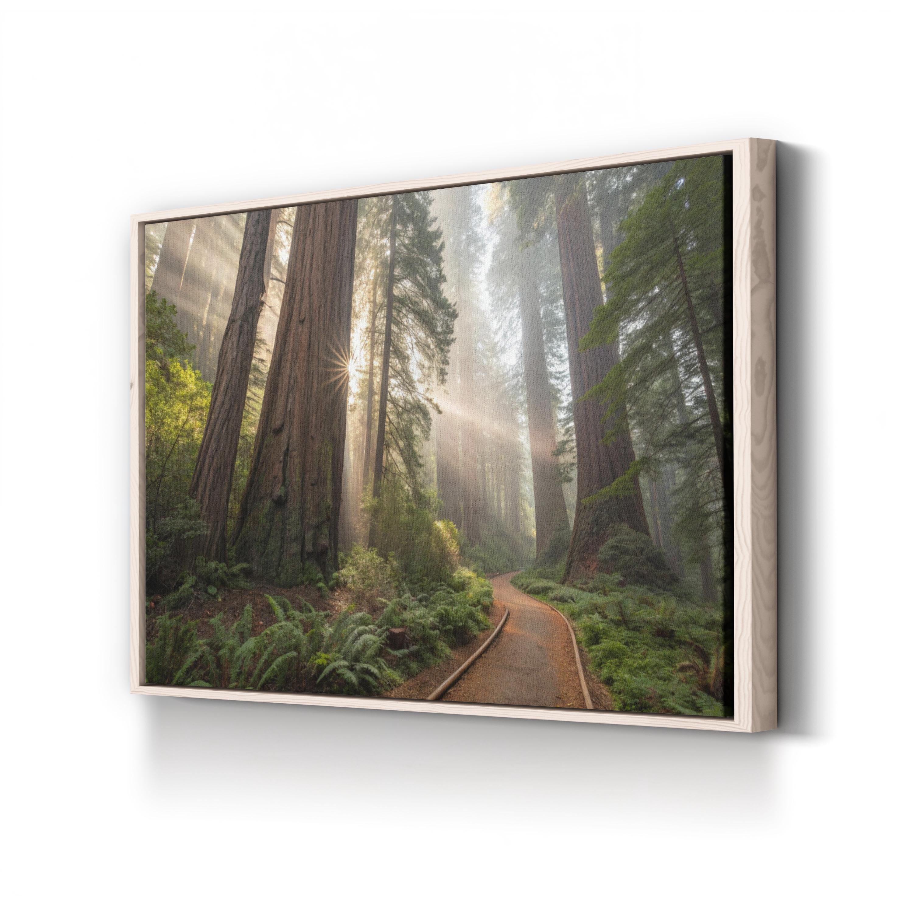 Redwood Forest Sunrise – Vintage Photography Wall Art | Nature Landscape Canvas Print
