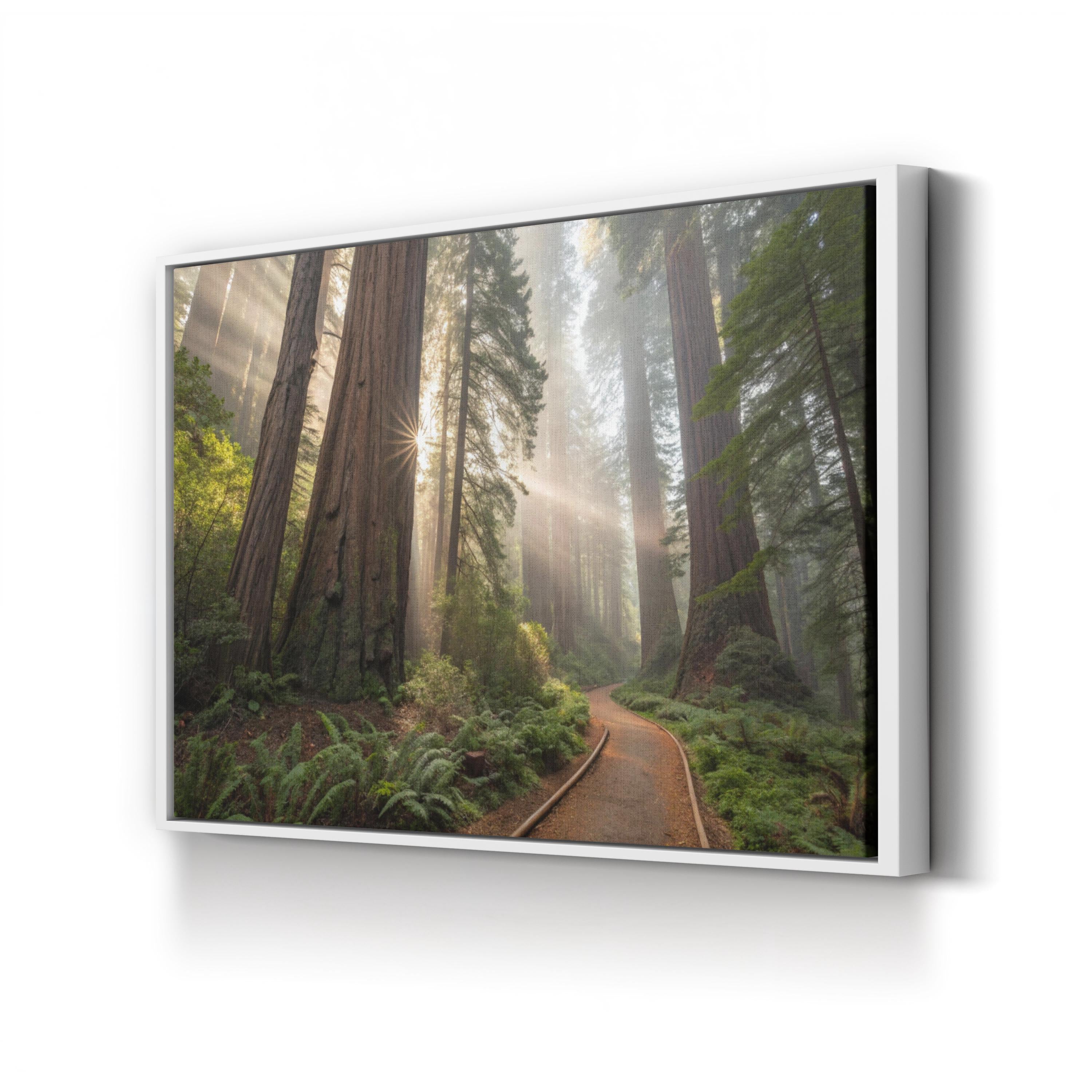 Redwood Forest Sunrise – Vintage Photography Wall Art | Nature Landscape Canvas Print