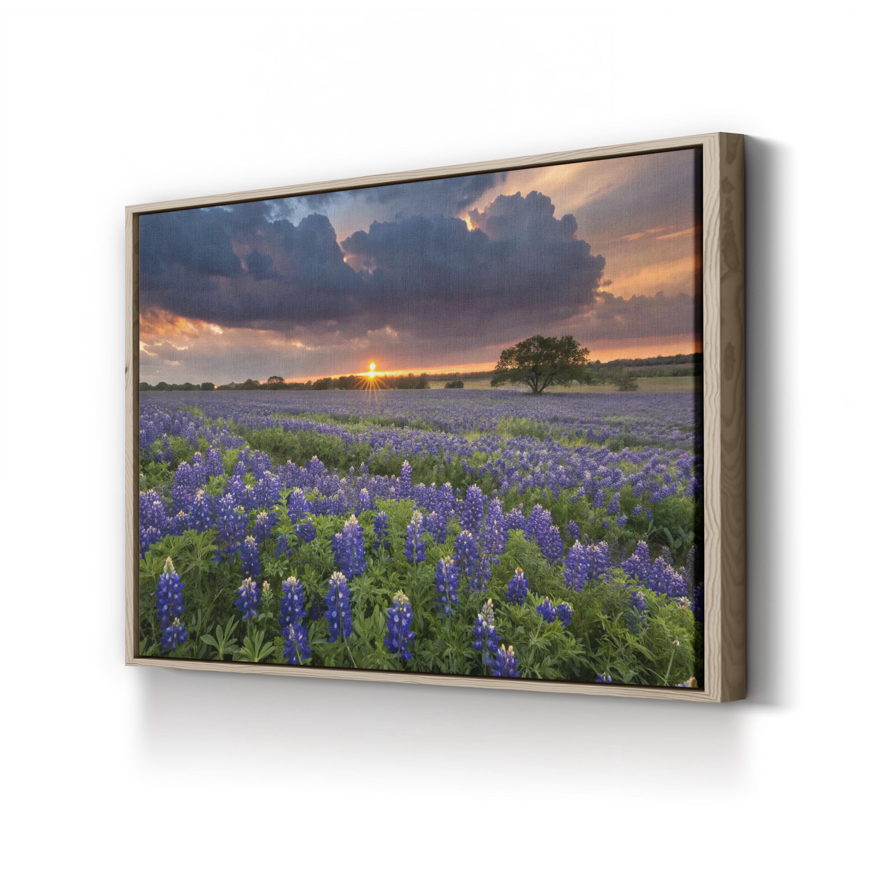 Texas Bluebonnet Field – Vintage Photography Wall Art | Wildflower Landscape Canvas Print