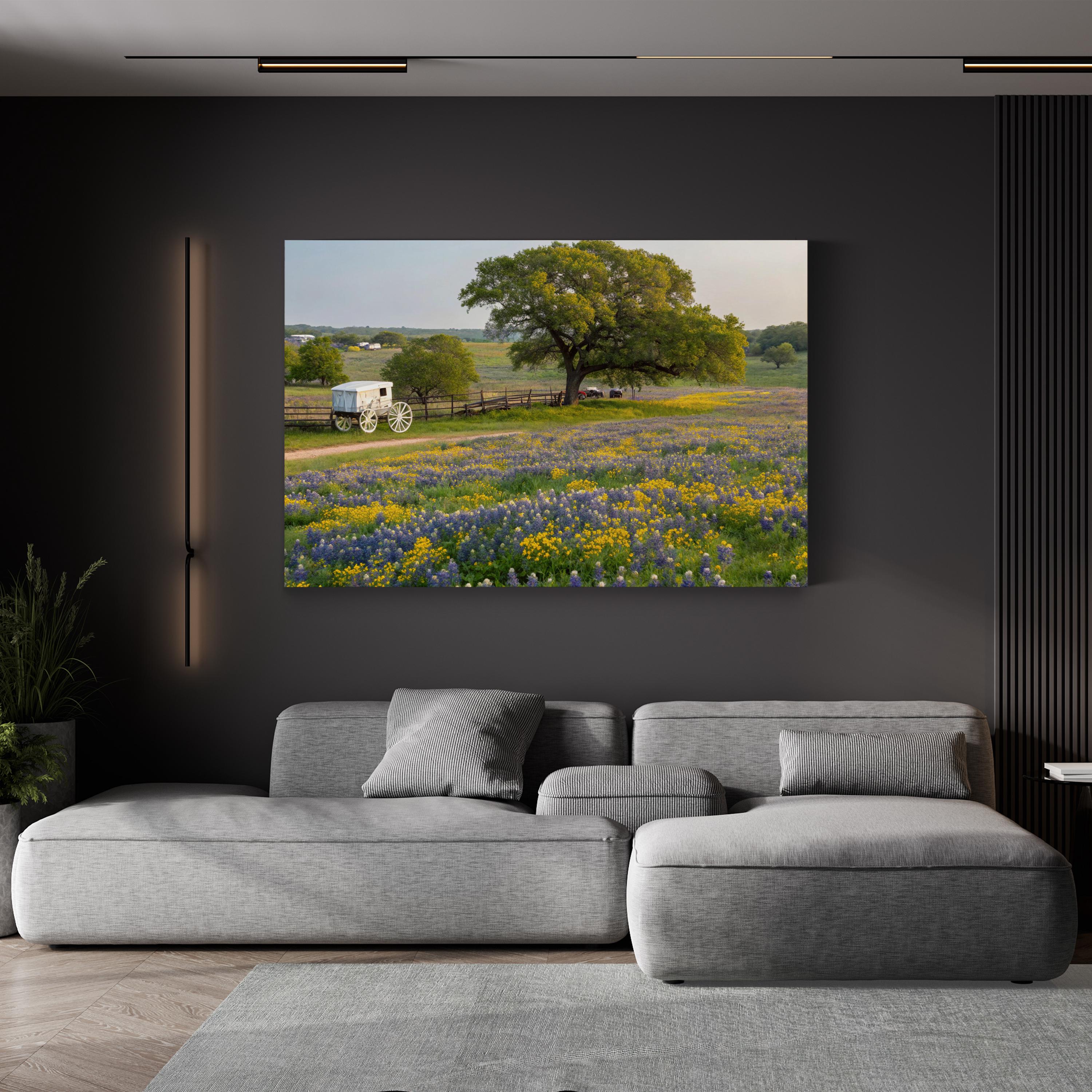Texas Hill Country Spring – Vintage Photography Wall Art | Wildflower Landscape Canvas Print