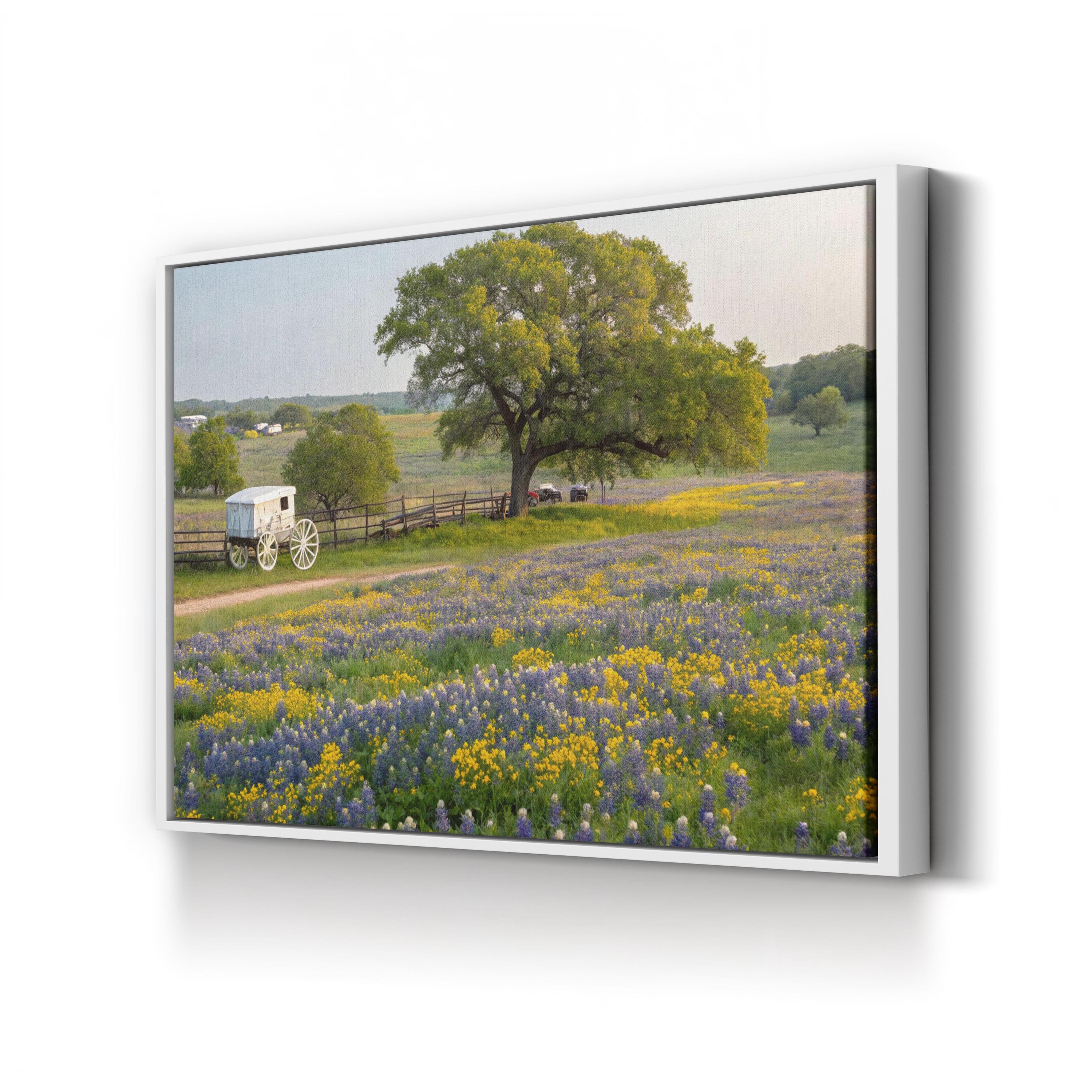 Texas Hill Country Spring – Vintage Photography Wall Art | Wildflower Landscape Canvas Print