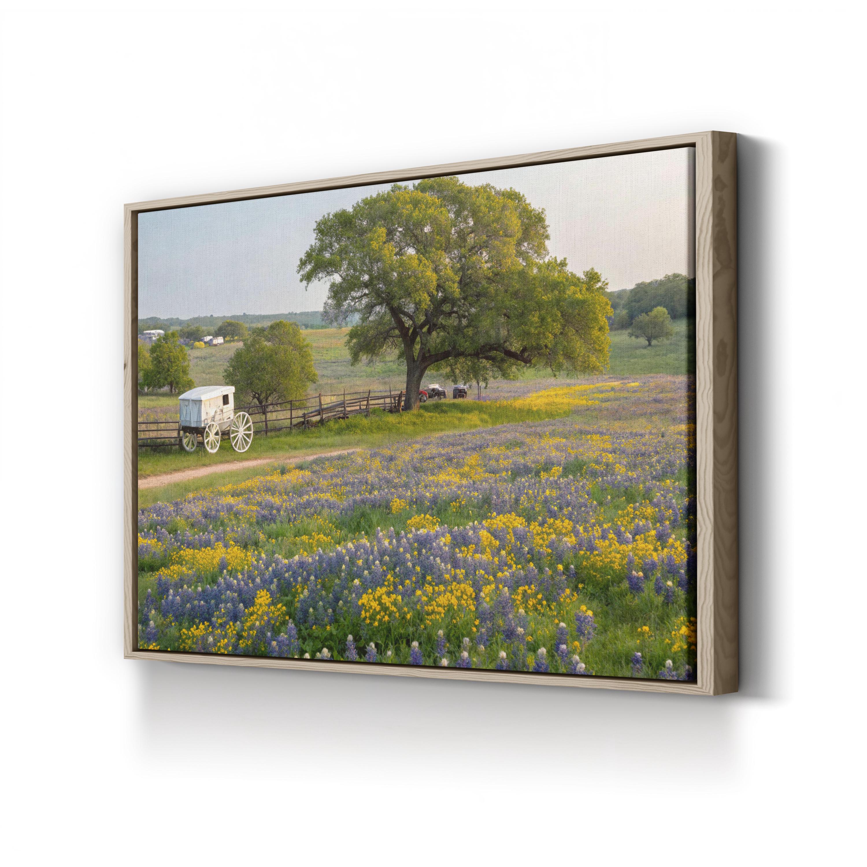 Texas Hill Country Spring – Vintage Photography Wall Art | Wildflower Landscape Canvas Print