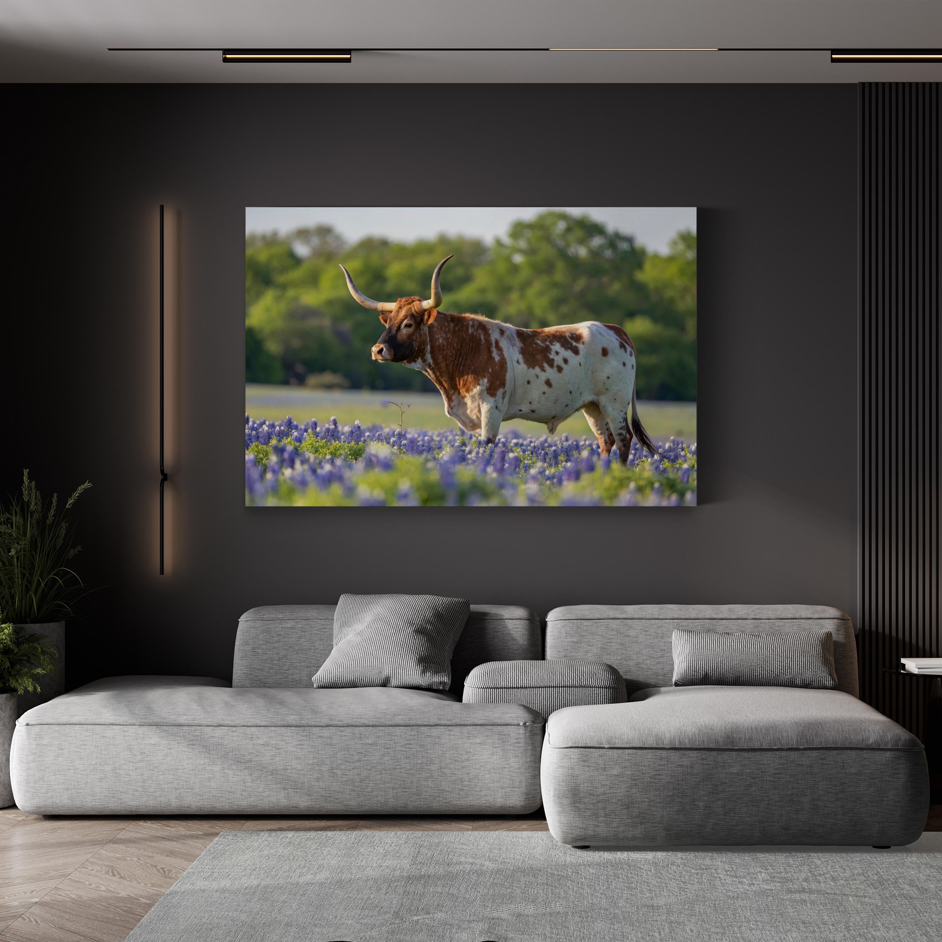 Texas Longhorn Bull Canvas – Western Farmhouse Wall Art
