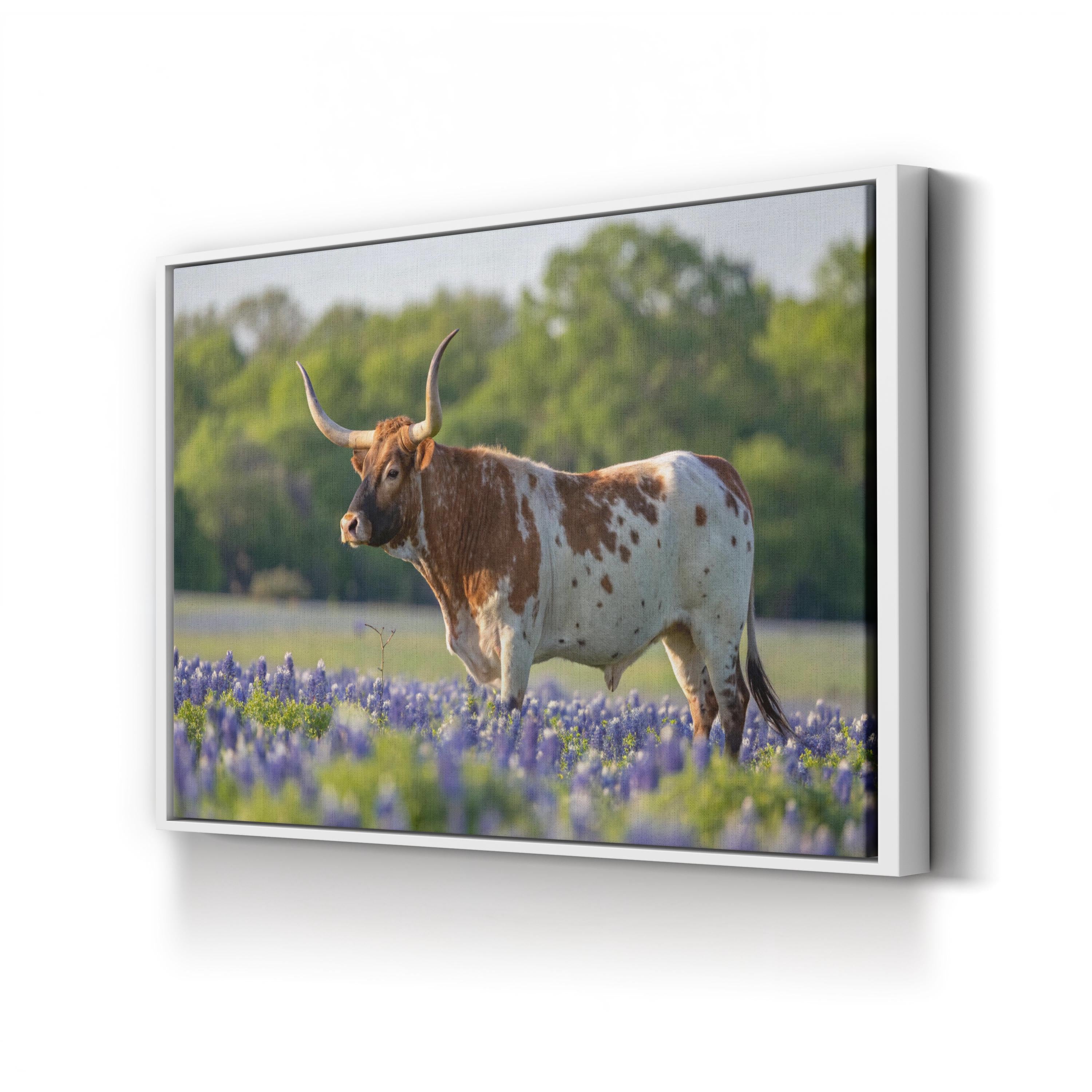 Texas Longhorn Bull Canvas – Western Farmhouse Wall Art