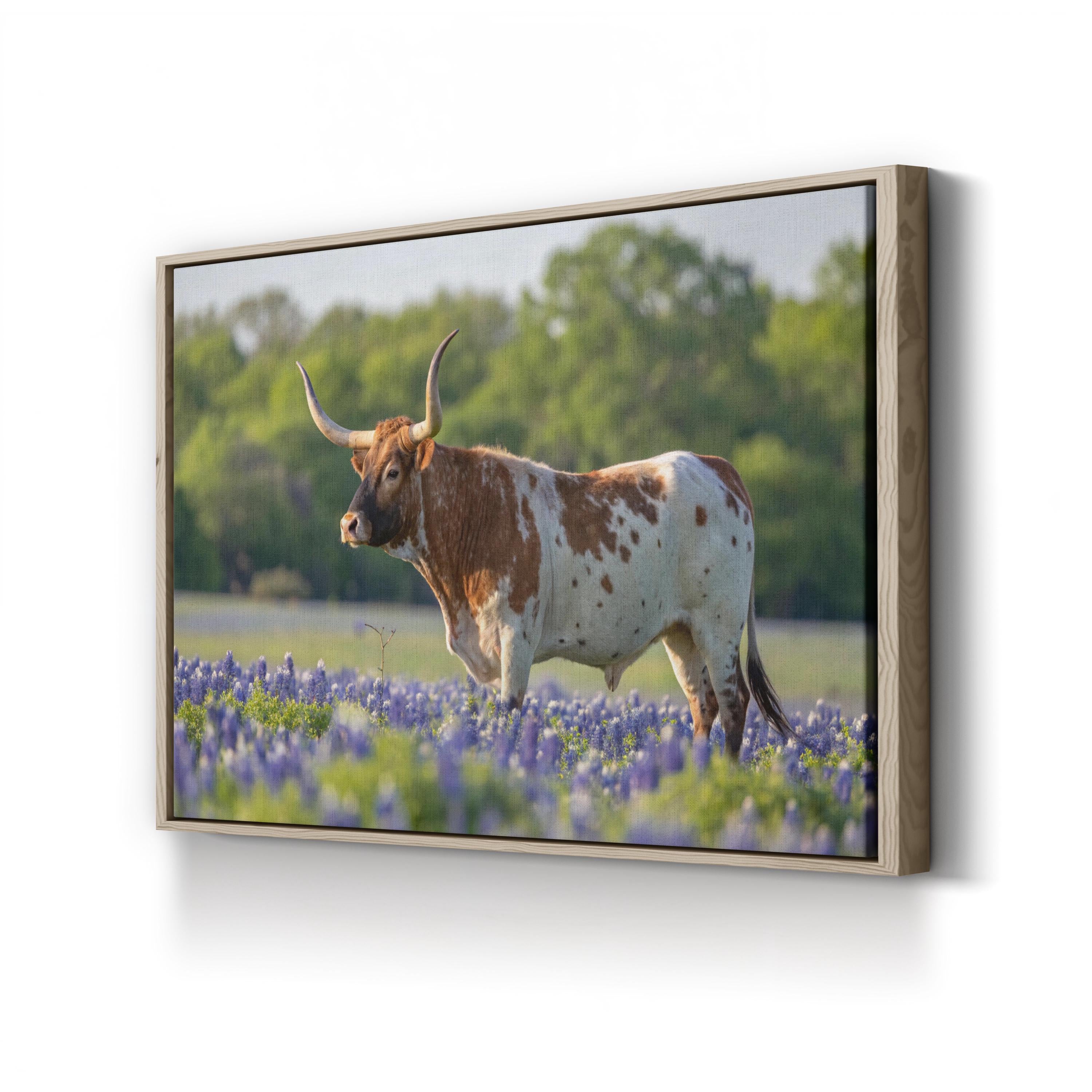 Texas Longhorn Bull Canvas – Western Farmhouse Wall Art
