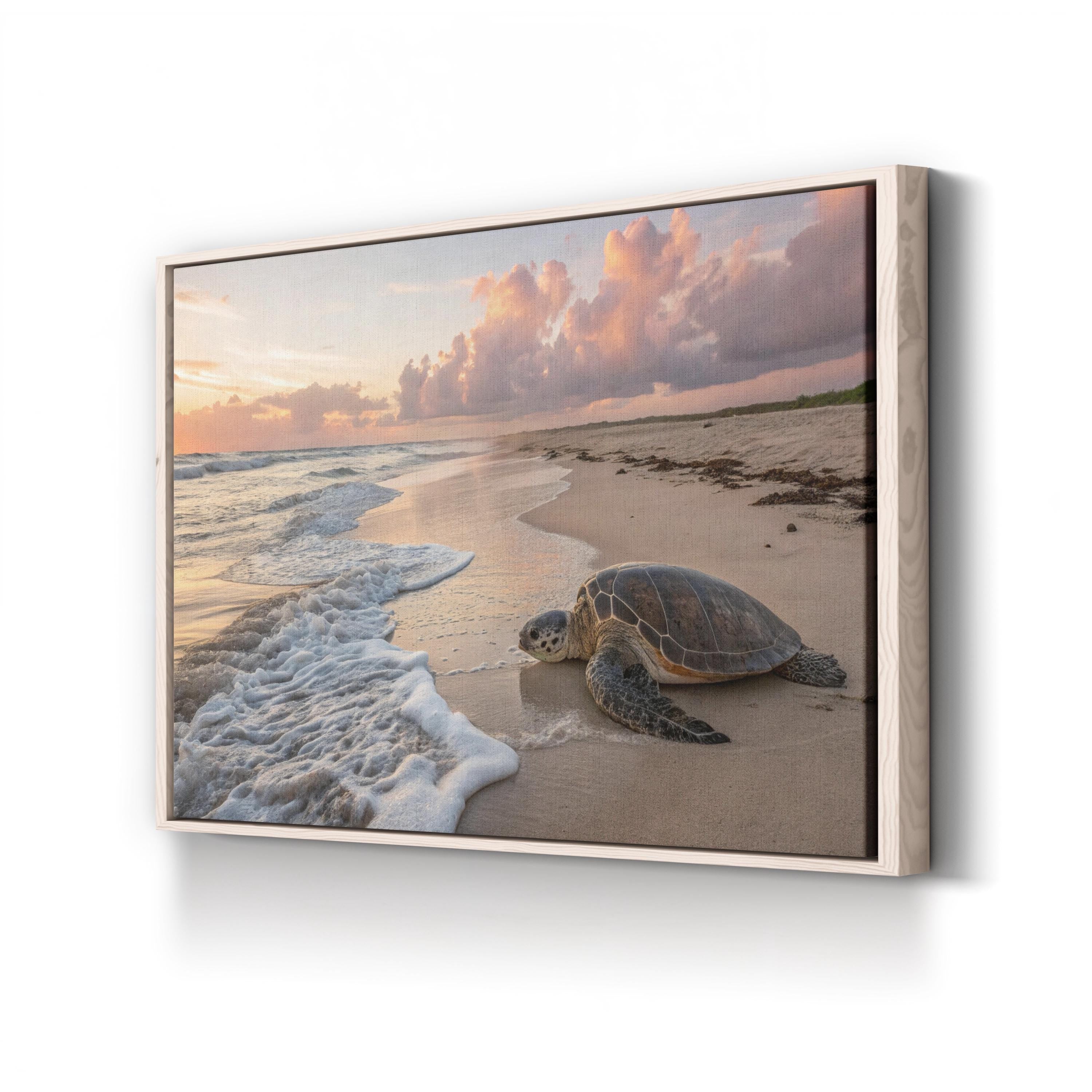 Sea Turtle Migration Season Sunset, Maui Hawaii Beach: Coastal Wildlife Photography