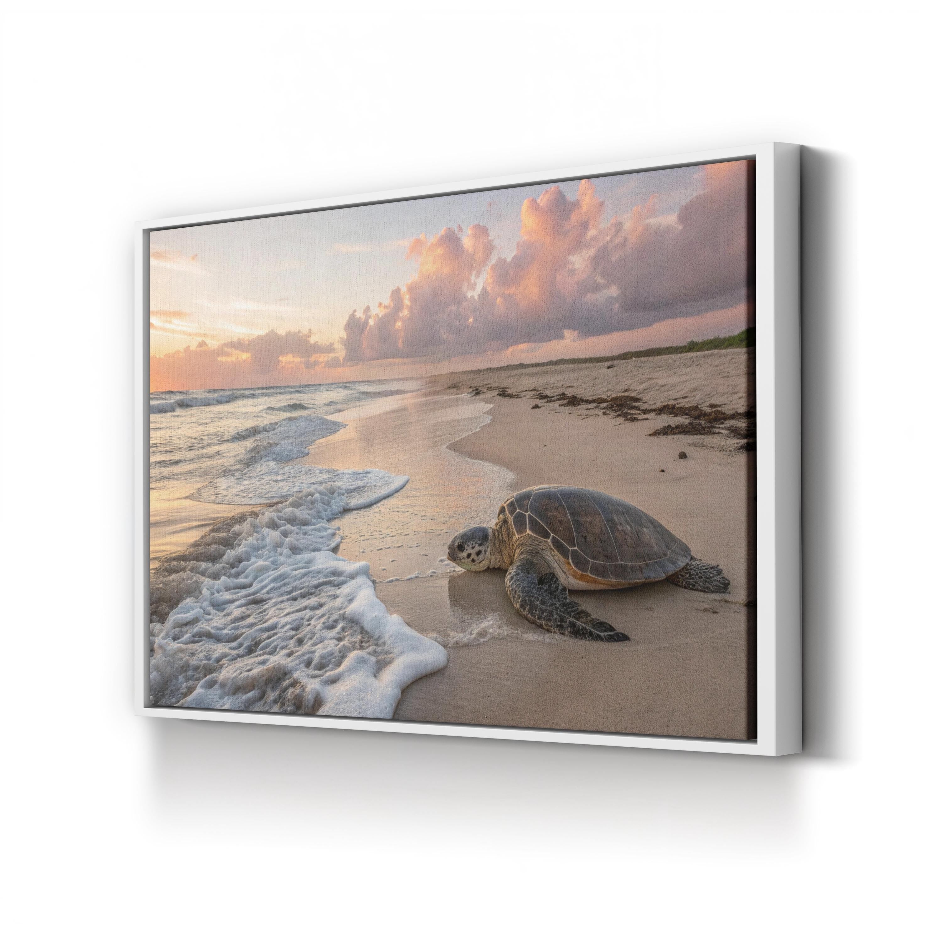 Sea Turtle Migration Season Sunset, Maui Hawaii Beach: Coastal Wildlife Photography
