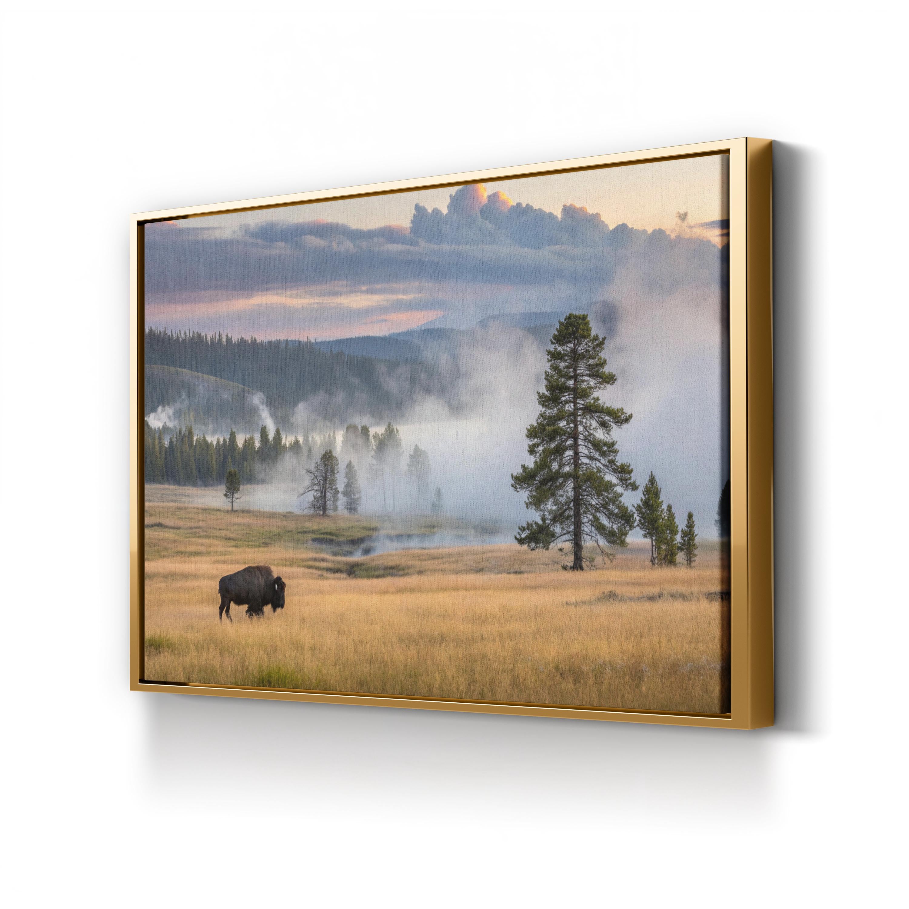 Yellowstone Bison at Dawn – Vintage Photography Wall Art | Western Wildlife Canvas Print