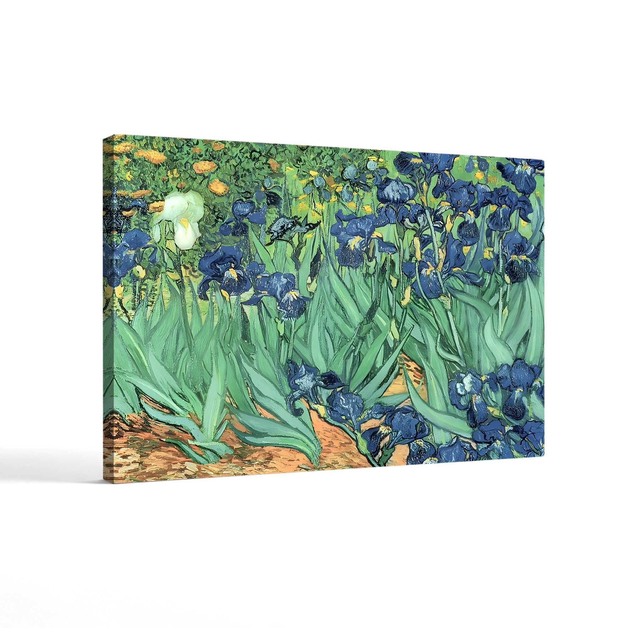 Irises, 1889 – Vincent van Gogh Wall Art | Post-Impressionist Floral Canvas Print