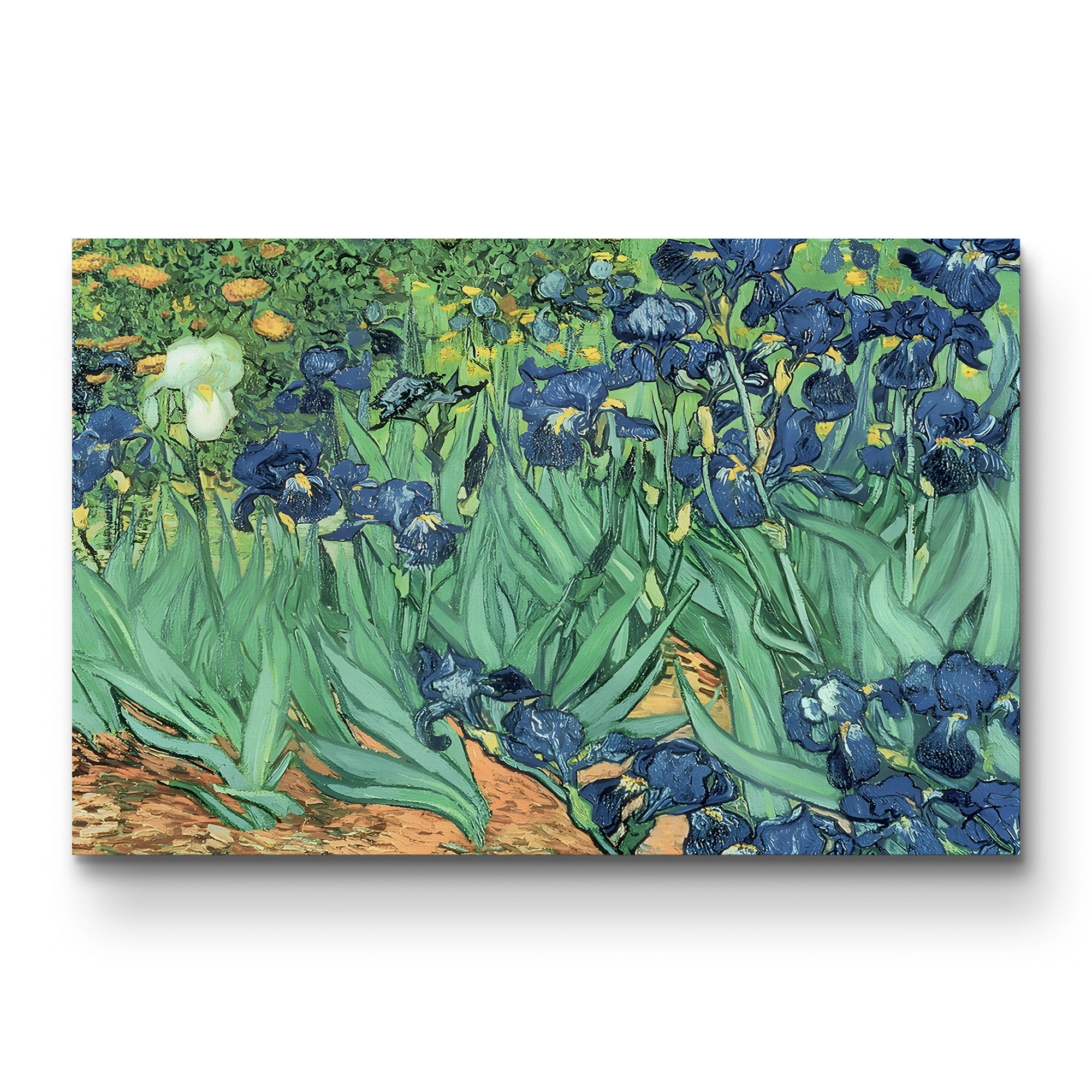 Irises, 1889 – Vincent van Gogh Wall Art | Post-Impressionist Floral Canvas Print