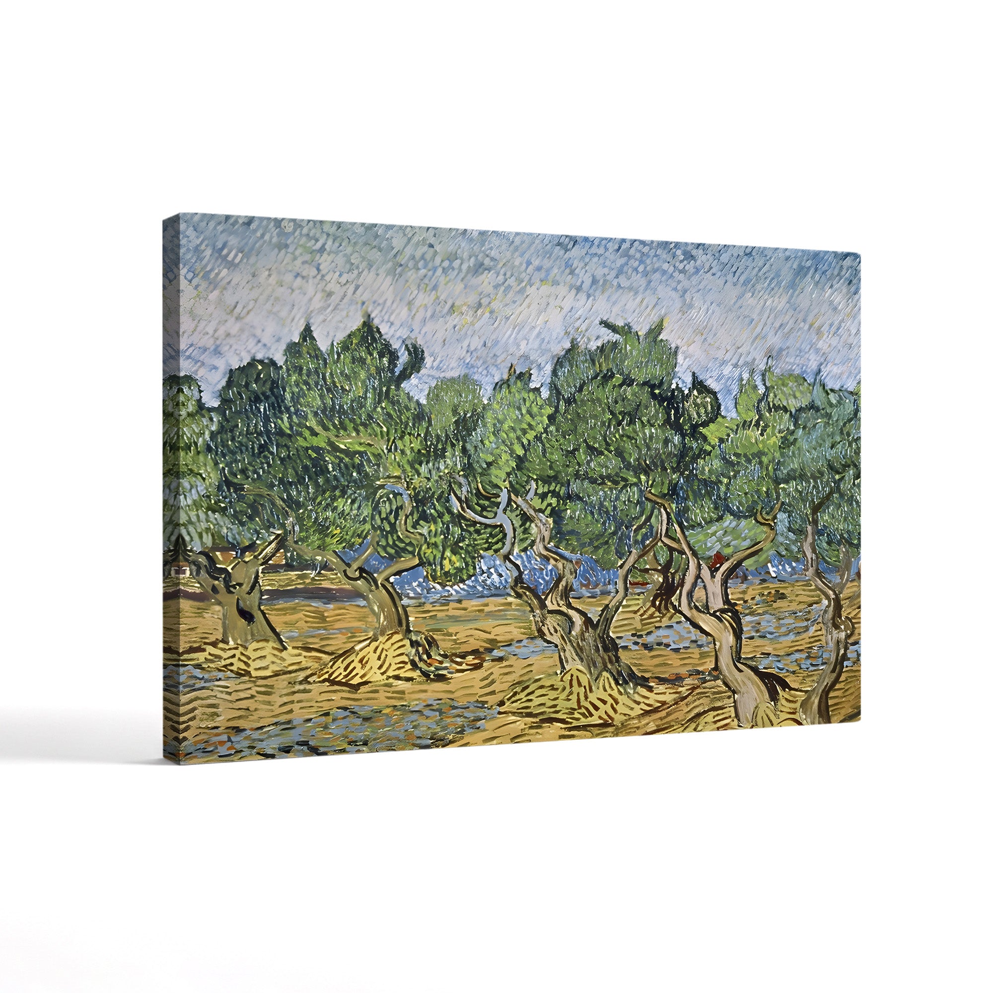 Olive Orchard with Violet Soil – Vincent van Gogh Wall Art | Post-Impressionist Provençal Canvas Print