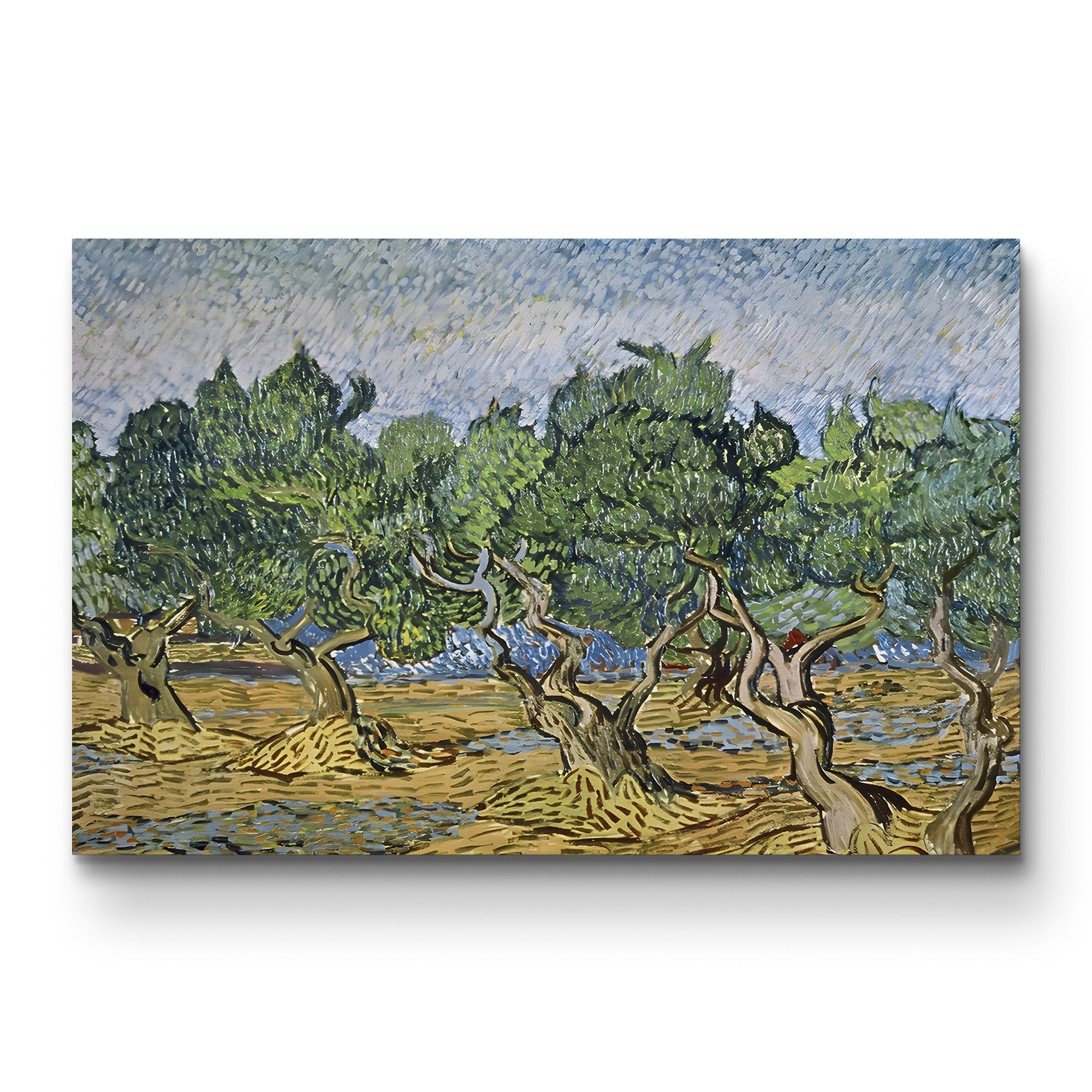 Olive Orchard with Violet Soil – Vincent van Gogh Wall Art | Post-Impressionist Provençal Canvas Print