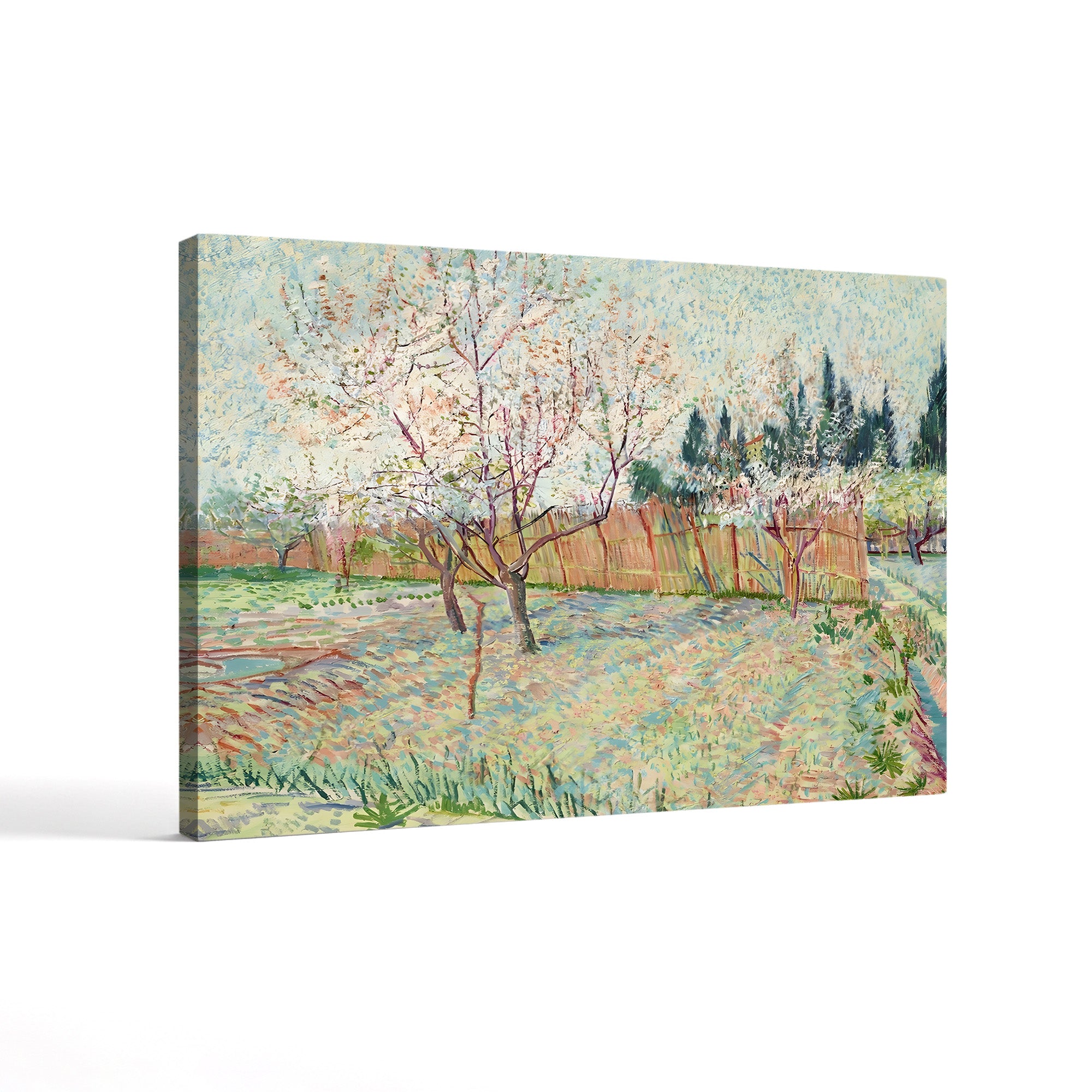 Orchard with Cypresses, 1888 – Vincent van Gogh Wall Art | Post-Impressionist Spring Blossom Canvas Print