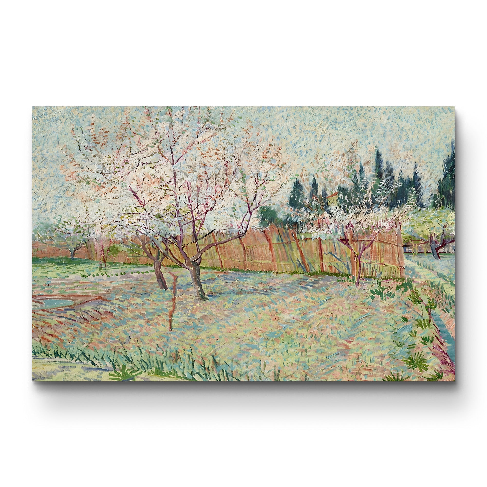 Orchard with Cypresses, 1888 – Vincent van Gogh Wall Art | Post-Impressionist Spring Blossom Canvas Print