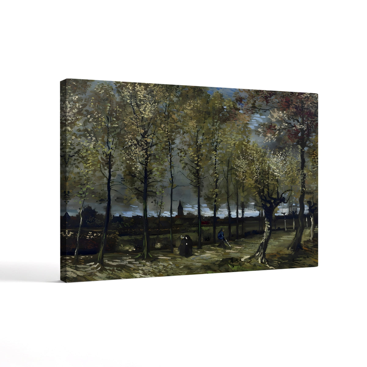 Poplars near Nuenen (Populierenlaan bij Nuenen), c. 1885 by Vincent van Gogh canvas print, Gallery Canvas unframed, angled view