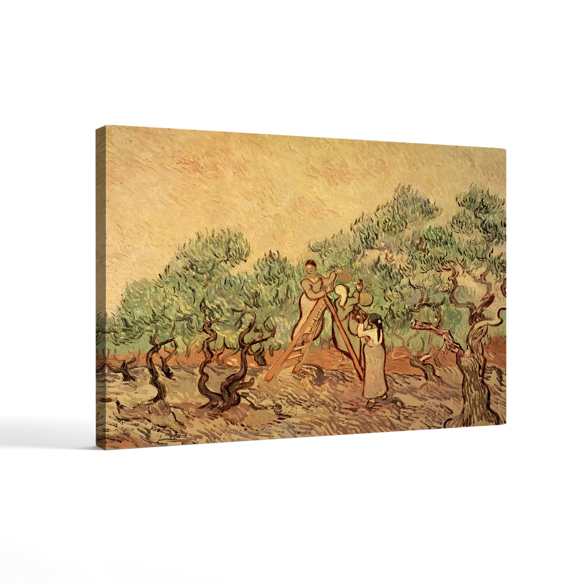 The Olive Grove, 1889 (II) – Vincent van Gogh Wall Art | Post-Impressionist Saint-Rémy Canvas Print