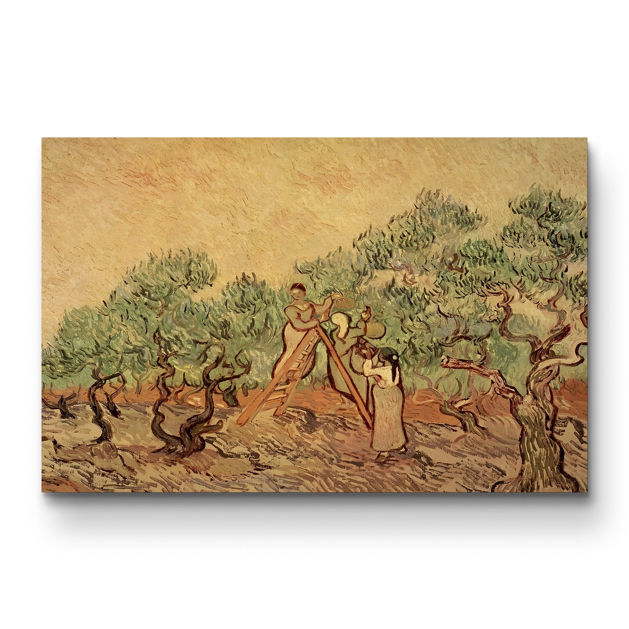 The Olive Grove, 1889 (II) – Vincent van Gogh Wall Art | Post-Impressionist Saint-Rémy Canvas Print