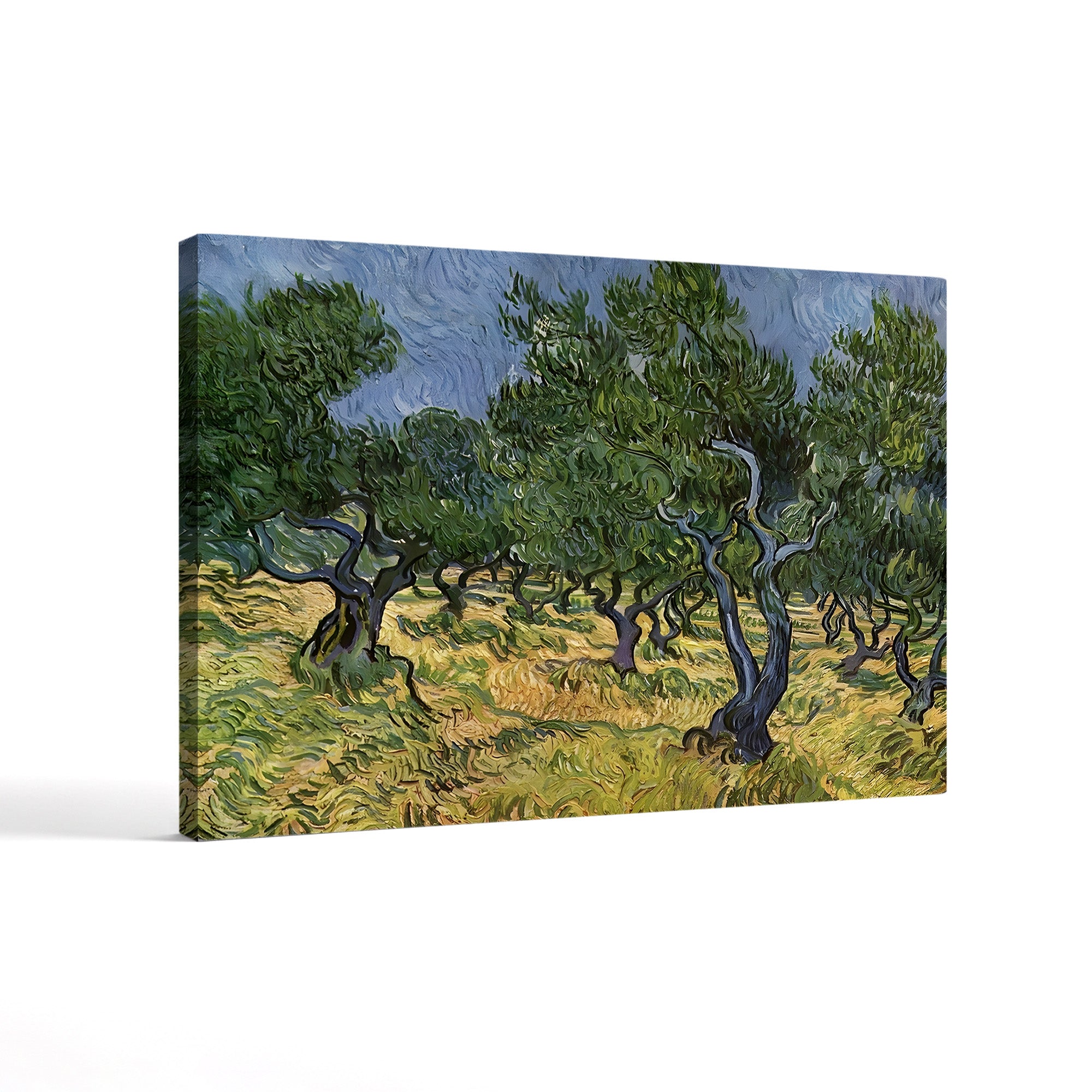 The Olive Grove – Vincent van Gogh Wall Art | Post-Impressionist Provençal Landscape Canvas Print