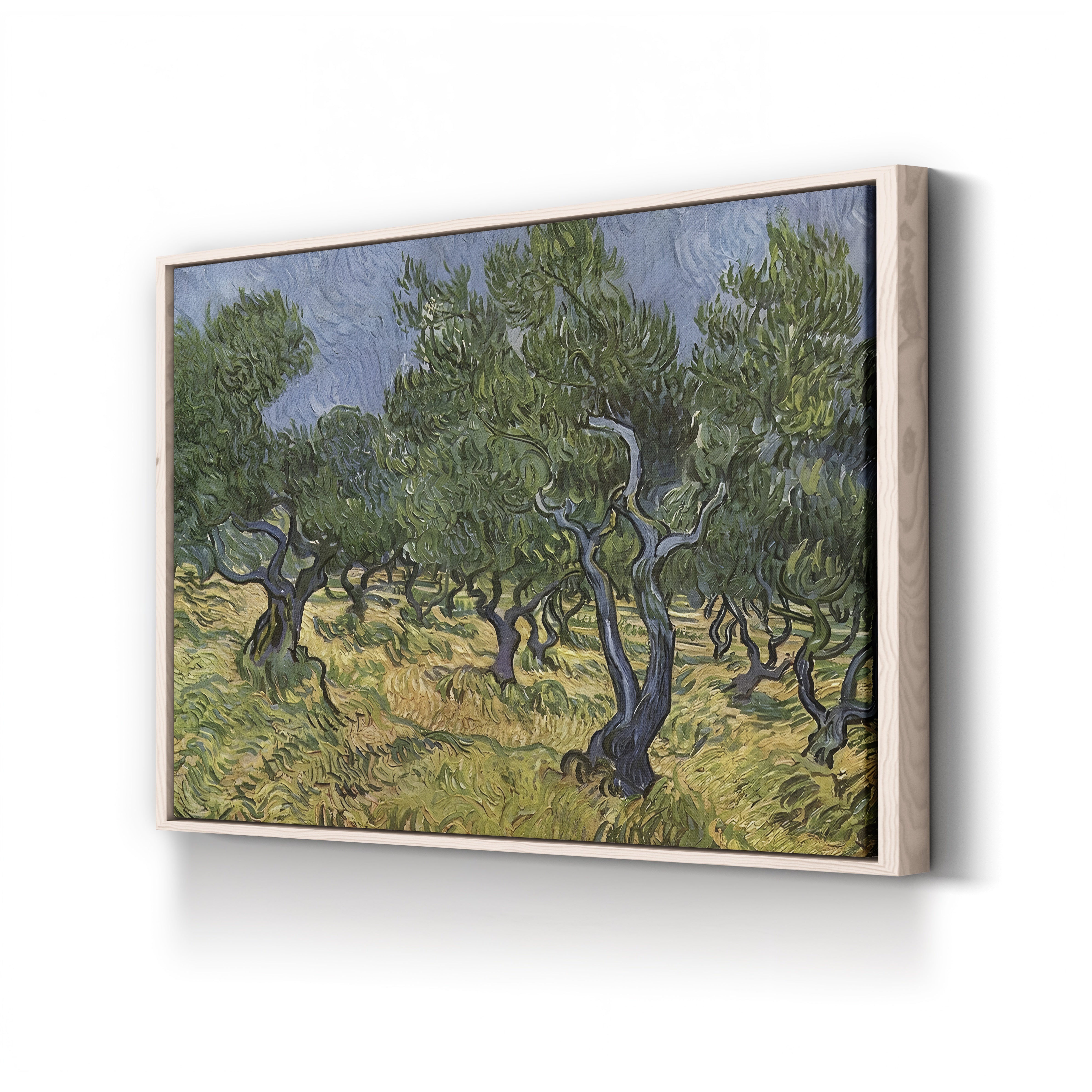 The Olive Grove – Vincent van Gogh Wall Art | Post-Impressionist Provençal Landscape Canvas Print