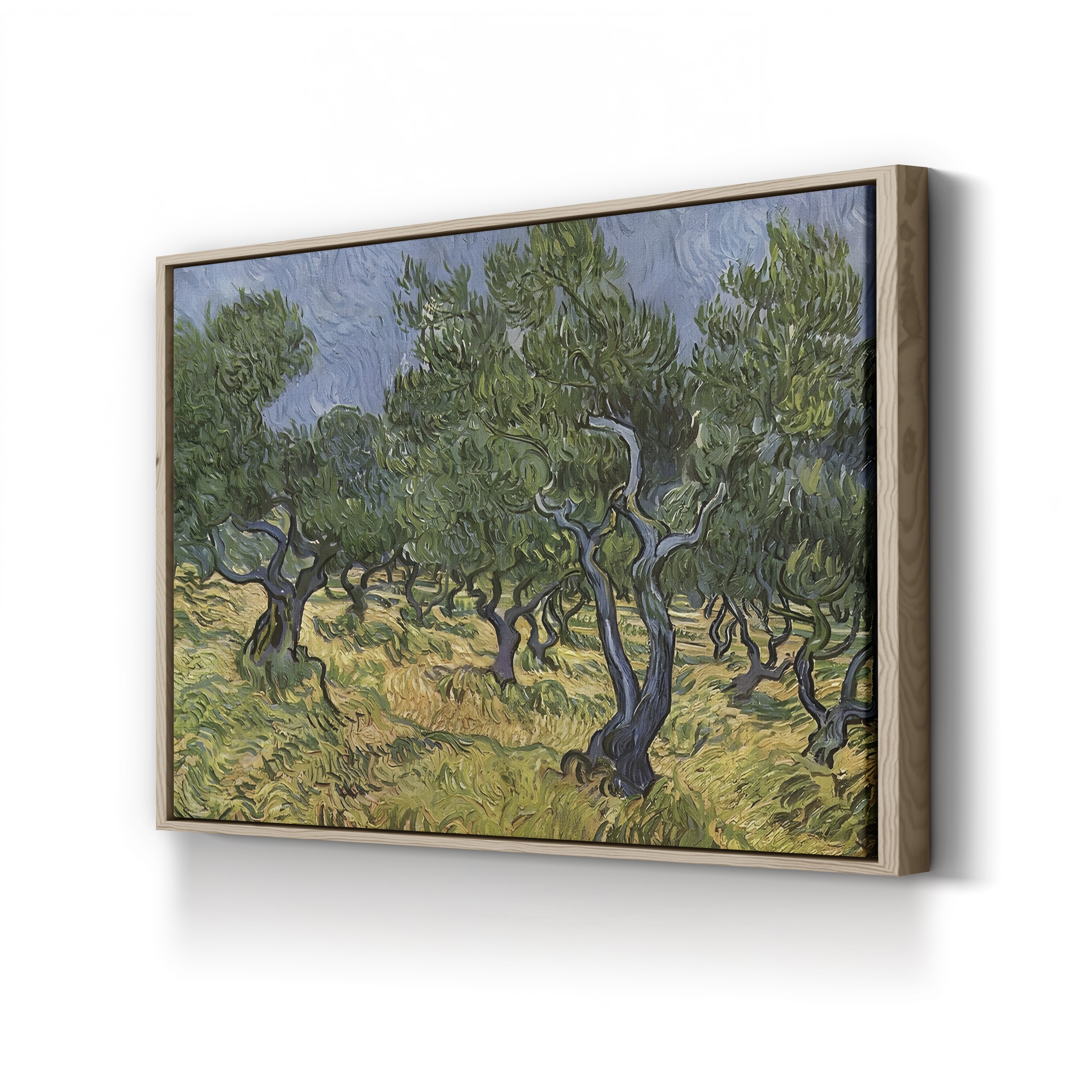 The Olive Grove – Vincent van Gogh Wall Art | Post-Impressionist Provençal Landscape Canvas Print